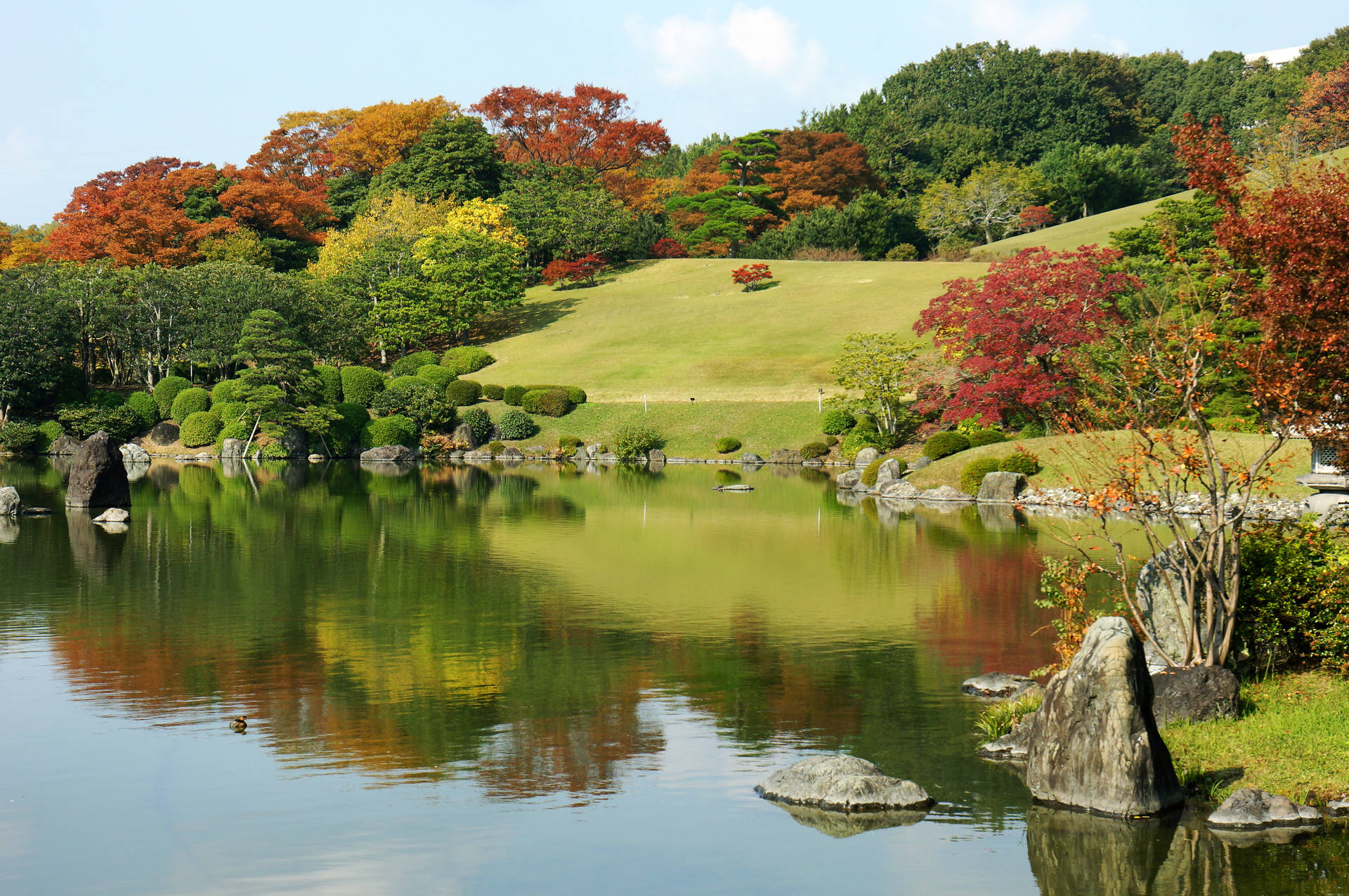 秋日花園池塘映照著色彩繽紛的樹木和綠色山丘，在藍天下 — 大阪 壁紙