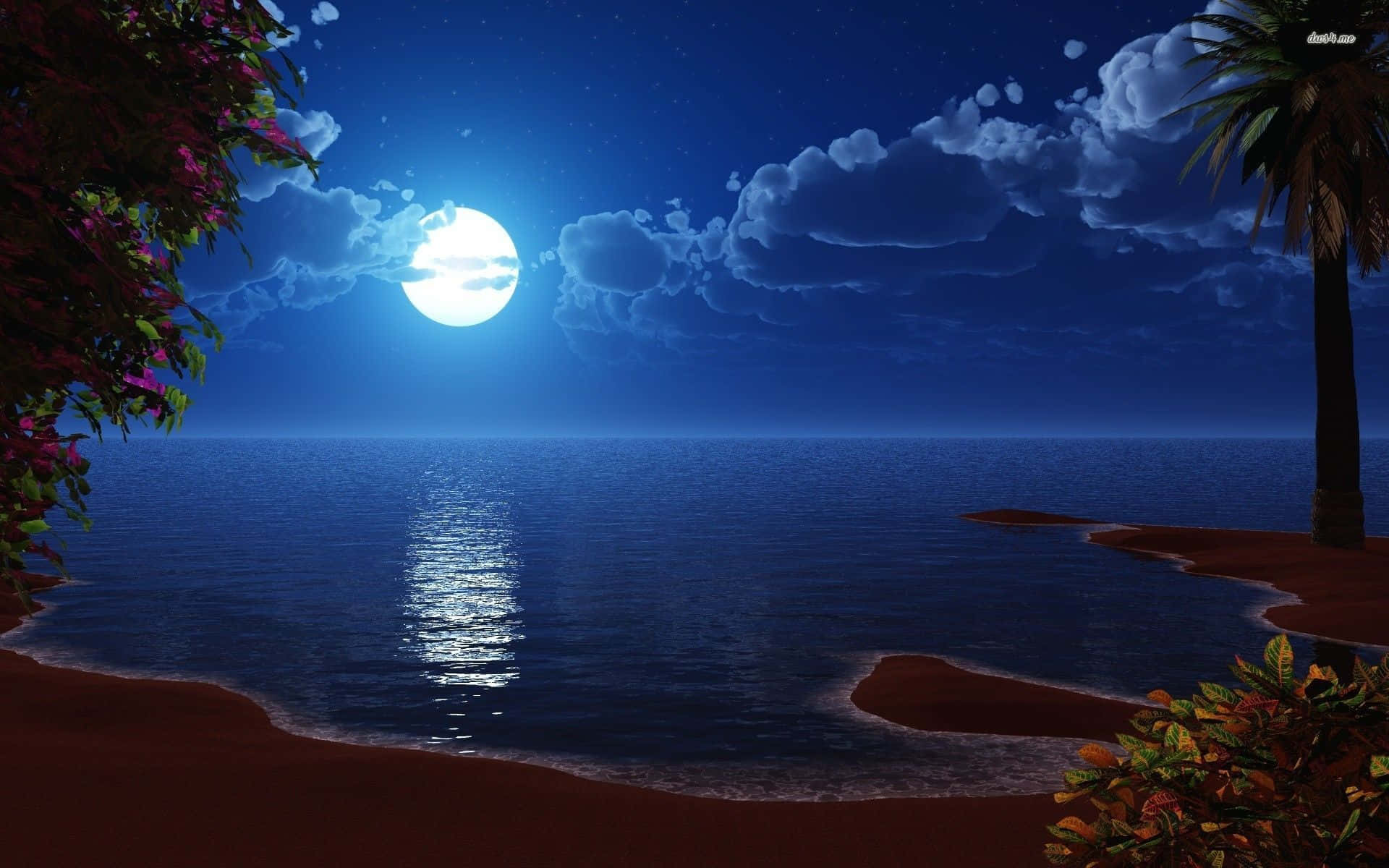 Moon Night 桌布 壁紙 — 一個寧靜的月光海灘場景，滿月在平靜的海面上投射出閃爍的光芒，被熱帶植物和棕櫚樹環繞，星空下。