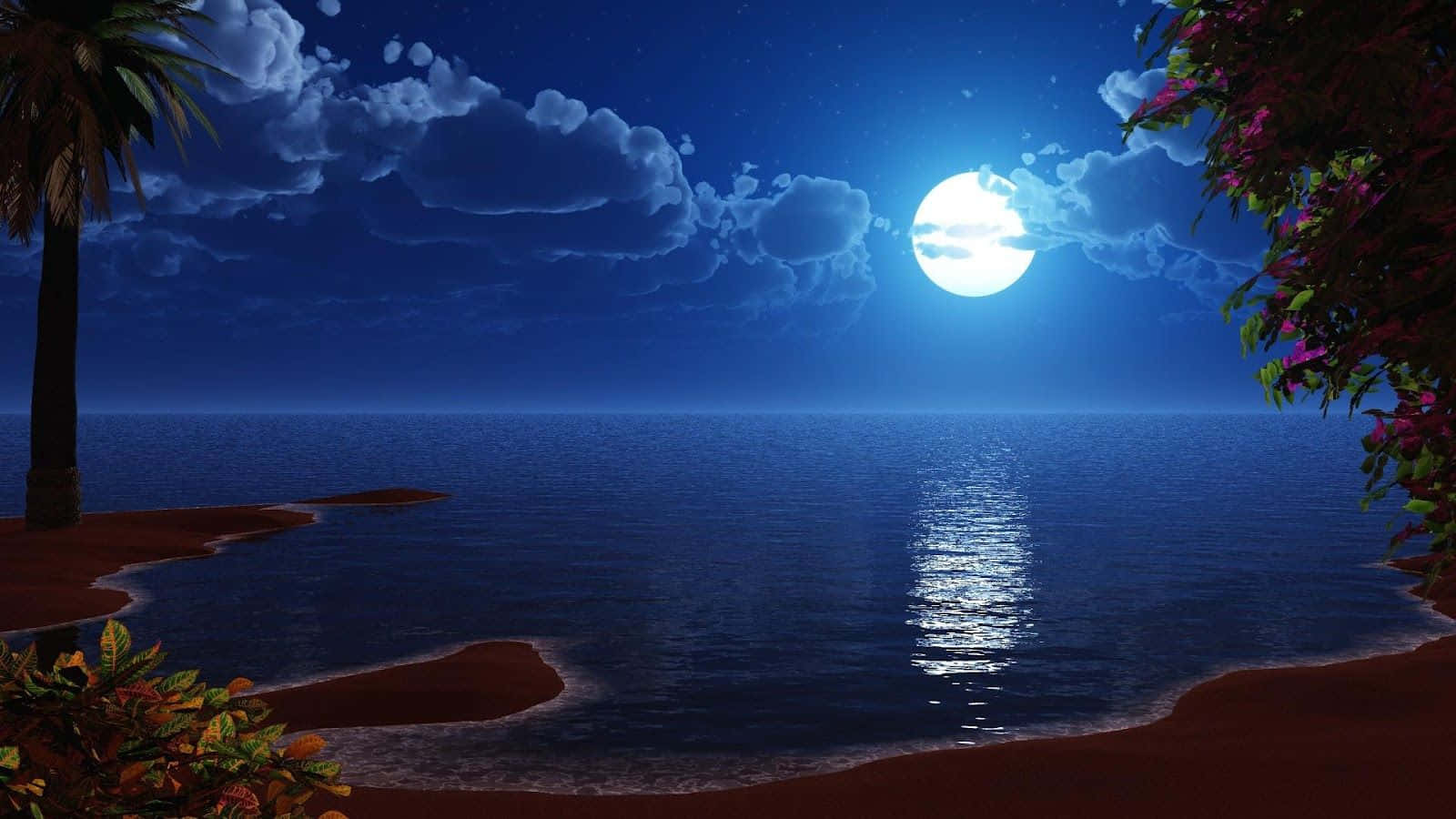 月光 桌布 壁紙 — 一個寧靜的月光海灘場景，滿月在平靜的海面上投射出閃爍的光芒，周圍環繞著棕櫚樹和開花的灌木叢。