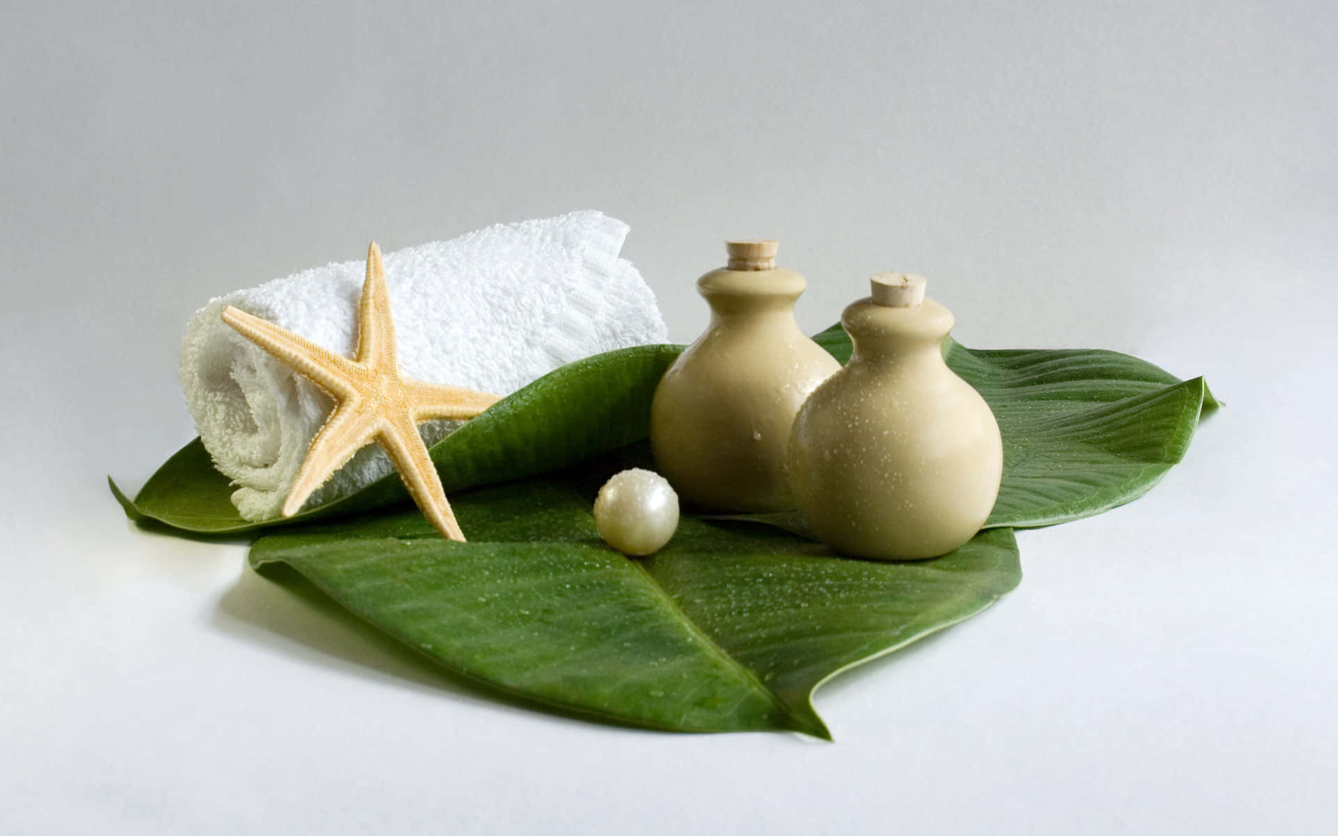 Spa Treatments 桌布 壁紙 — 一個寧靜的水療佈置，包含一條捲起的白色毛巾、海星、珍珠和陶瓶，放在大綠葉上，背景是柔和的白色。