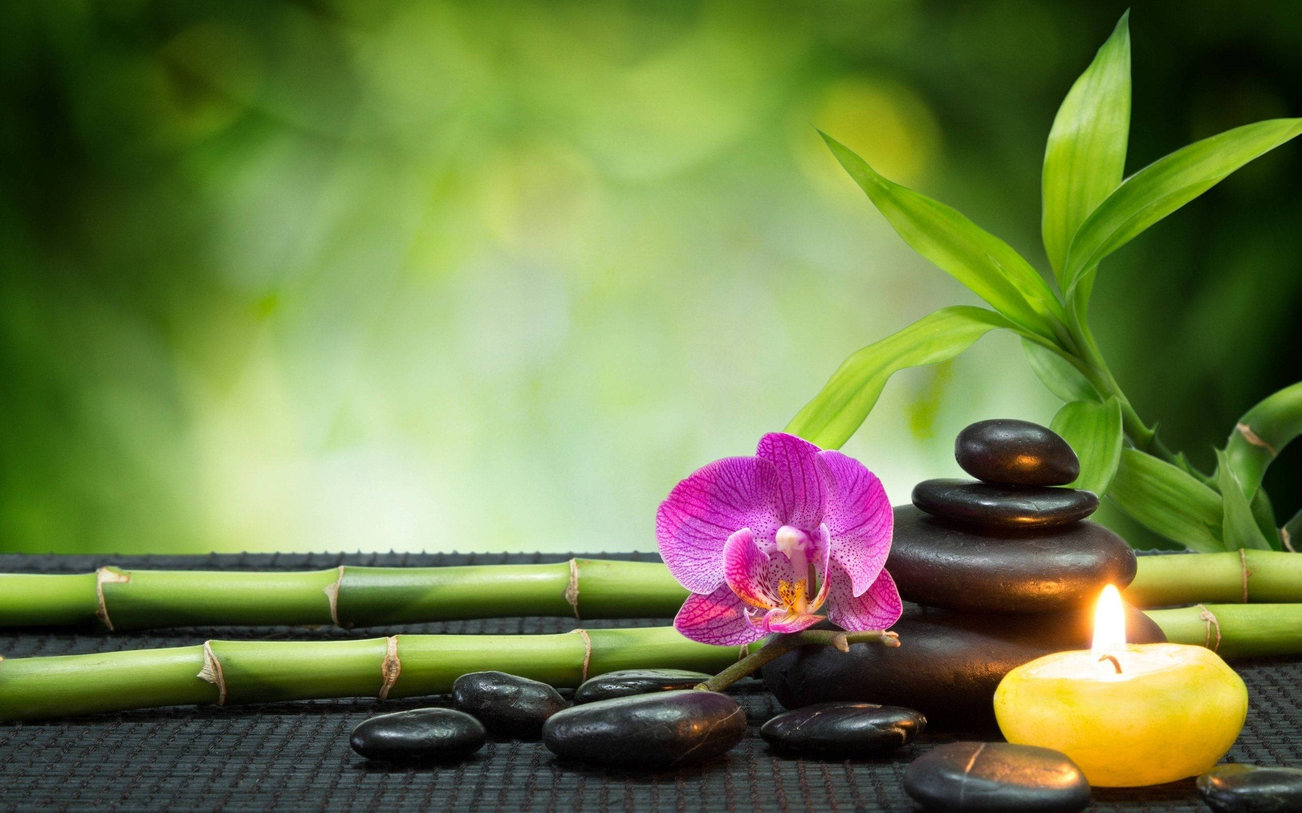 禪 桌布 壁紙 — 一個寧靜的水療場景，有紫色蘭花、黑色石頭、竹子和一支點燃的蠟燭放在有紋理的墊子上，背景是柔和的綠色。