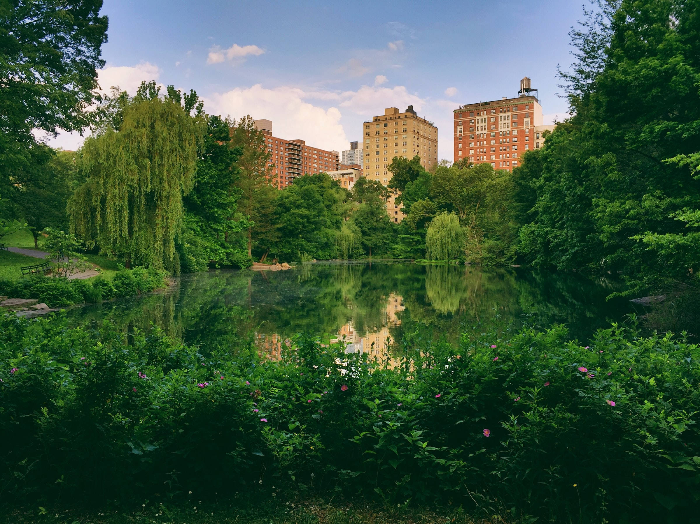 Lake 桌布 壁紙 — 一個寧靜的池塘，位於鬱鬱蔥蔥的綠色公園中，在部分多雲的天空下反射出周圍的樹木和遠處的磚砌建築。