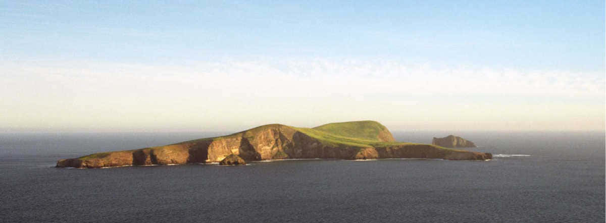 California Island 桌布 壁紙 — 一個寧靜的沿海島嶼，長滿青草的山丘和岩石峭壁從平靜的海水中升起，在柔和的藍天下。