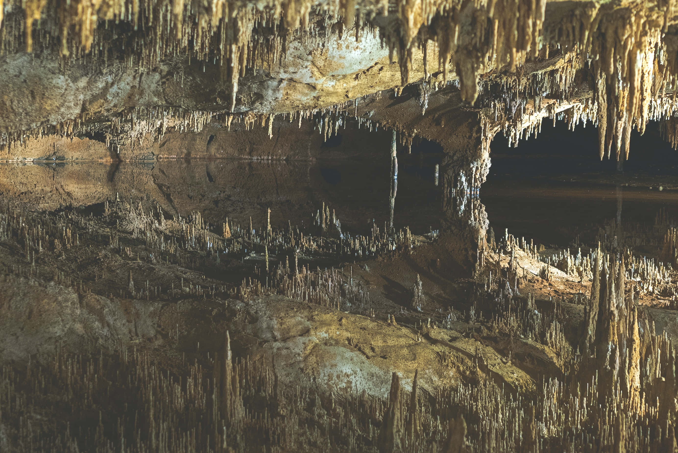 Cave 桌布 壁紙 — 一個寧靜的洞穴，金色的鐘乳石和石筍完美地倒映在下方平靜的水面上。