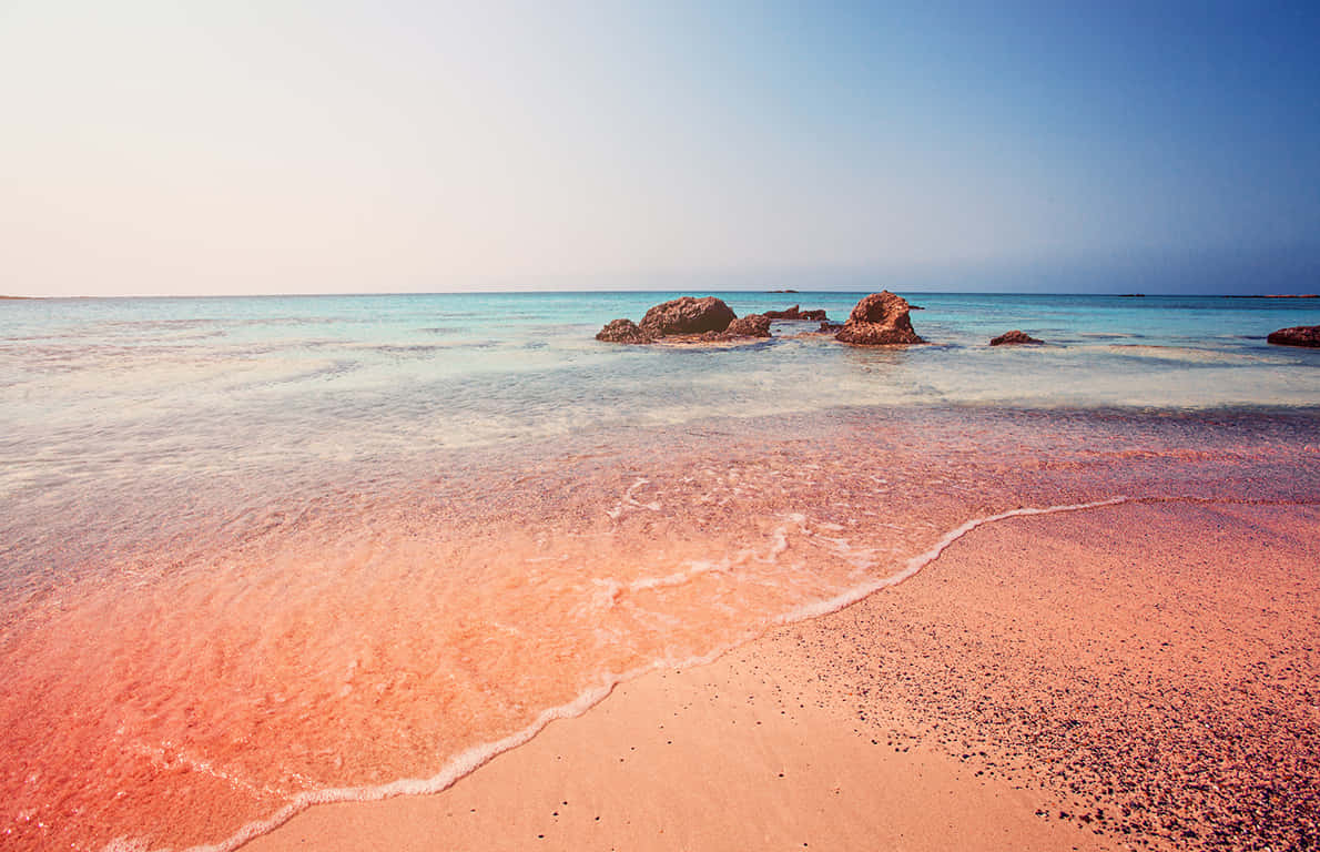 Pink Sand Beach 桌布 壁紙 — 一個寧靜的海灘，有粉紅色的沙子和碧綠的海水，在清澈的藍天下輕輕拍打著散落的岩石。
