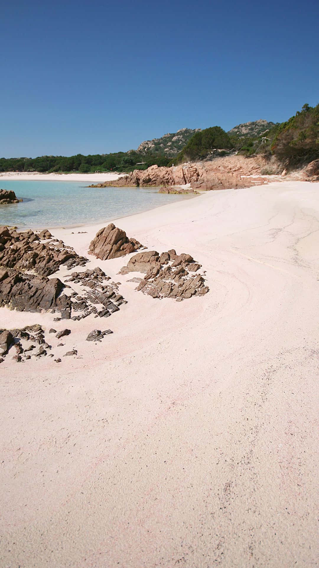 Pink Beach 桌布 壁紙 — 一個寧靜的海灘，柔軟的粉紅色沙灘在清澈的藍天下緩緩彎向碧綠的海水。