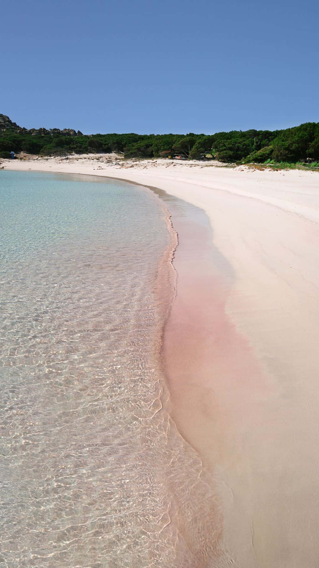 Pink Beach 桌布 壁紙 — 一個寧靜的海灘，粉紅色的沙灘與清澈的碧綠海水在明亮的藍天下相接。