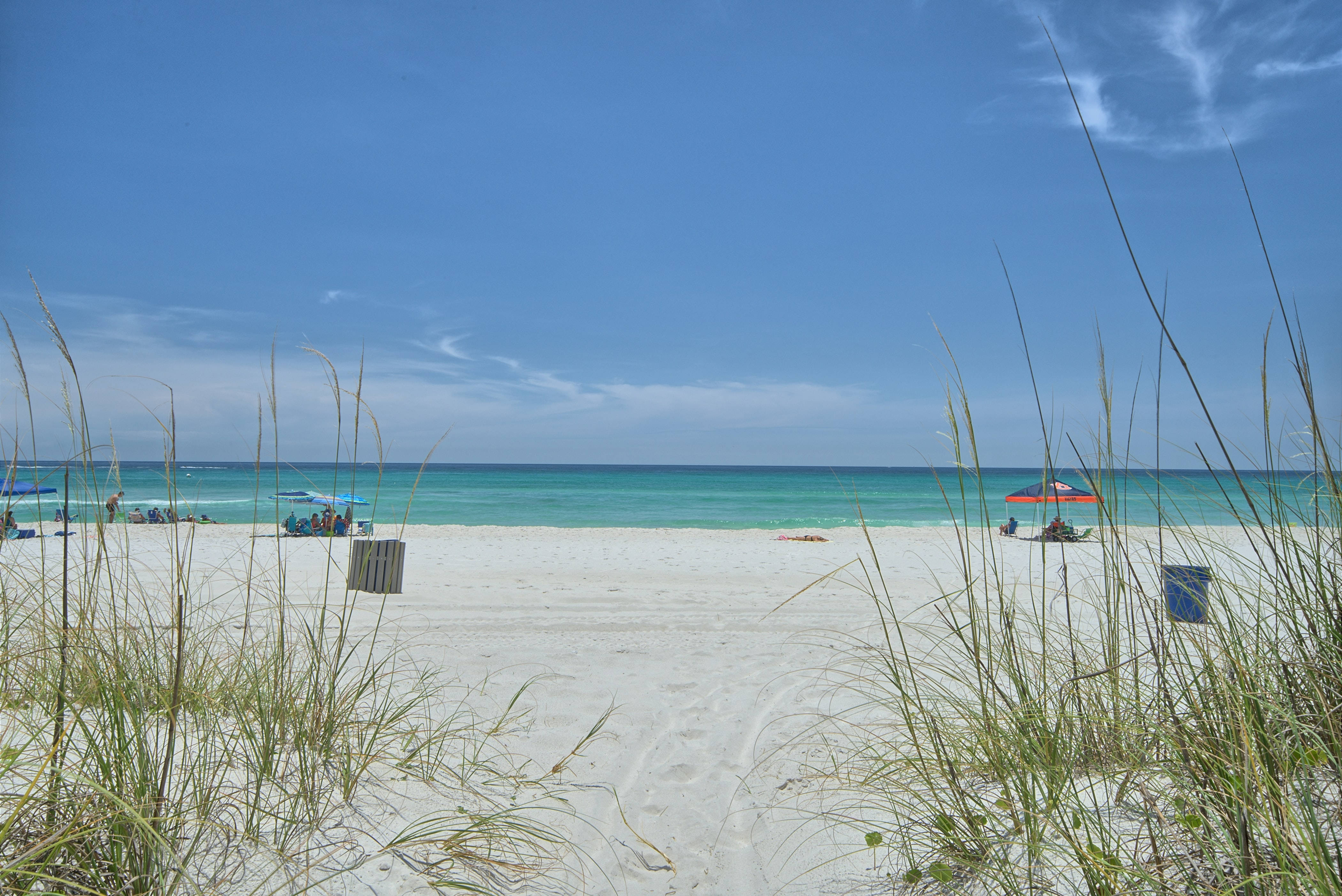 Beach Scene 桌布 壁紙 — 一個寧靜的海灘場景，由高高的草叢框住，碧綠的海水和零星的海灘遊客在藍天下。