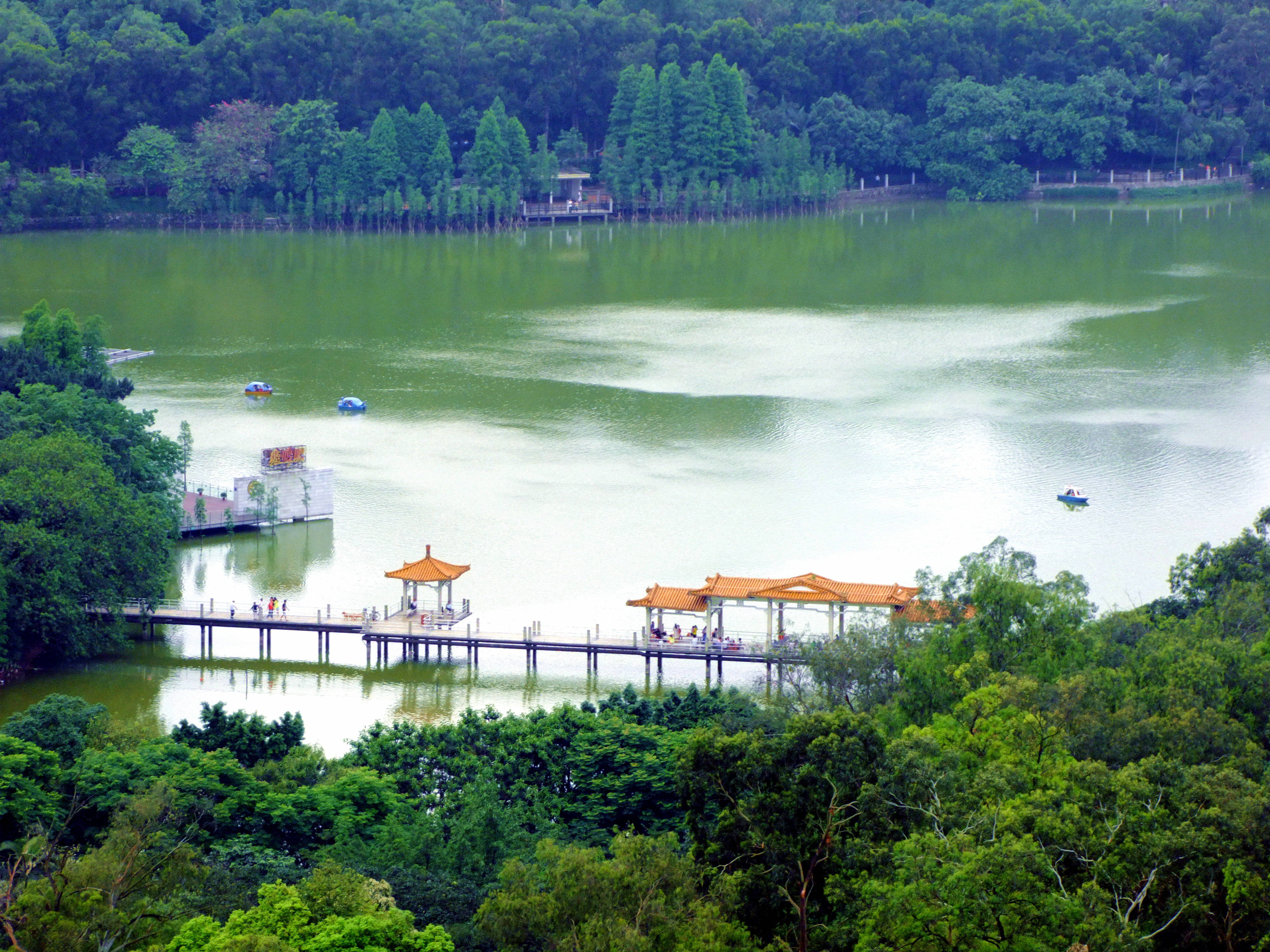 Guangzhou 桌布 壁紙 — 一個寧靜的湖泊，周圍環繞著茂密的綠樹，有橙色屋頂的亭閣和一個木製碼頭，人們在那裡散步，小船漂浮。