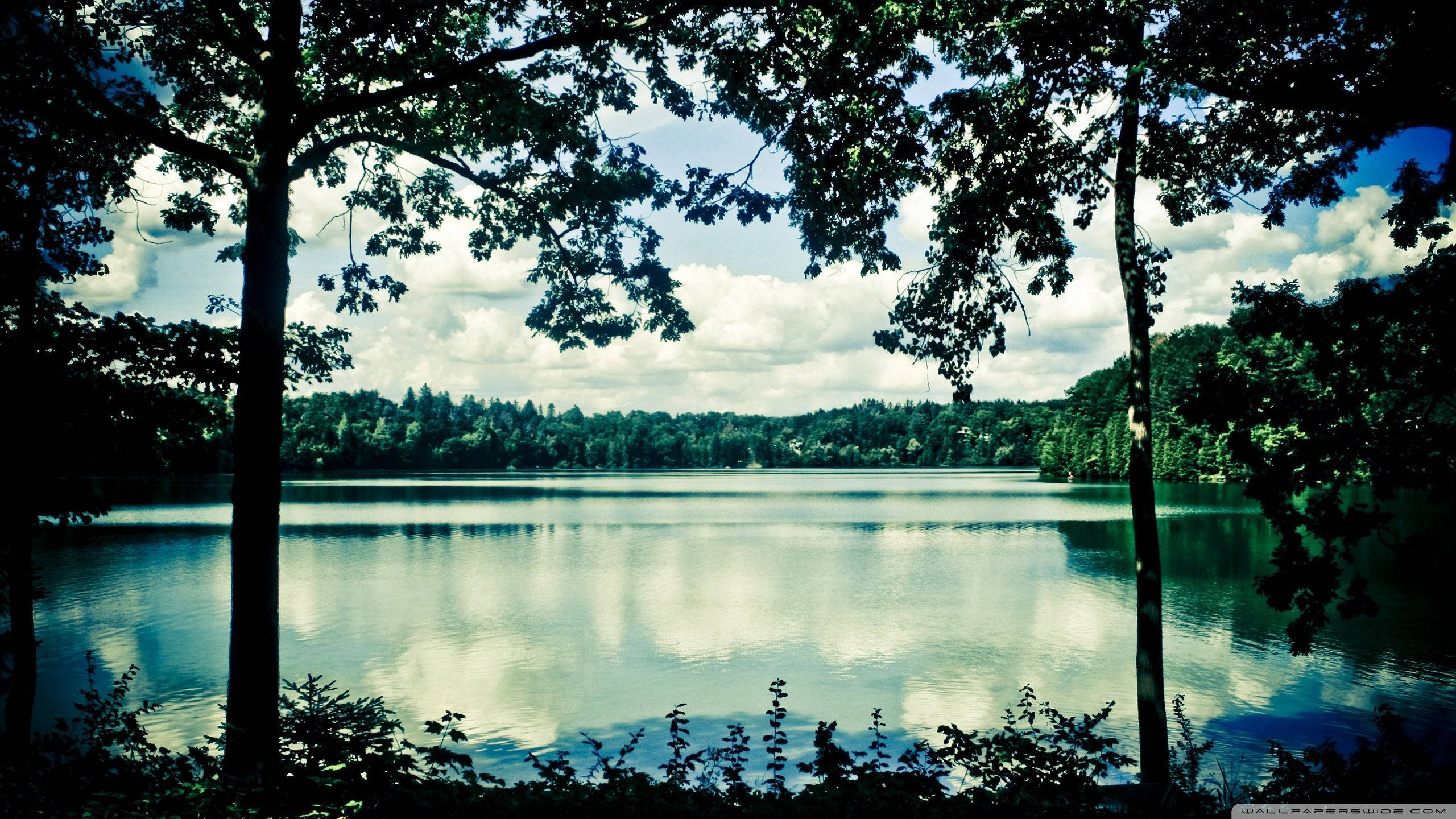 Lake 桌布 壁紙 — 一個寧靜的湖泊，被剪影般的樹木環繞，多雲的天空倒映在平靜的水面上。