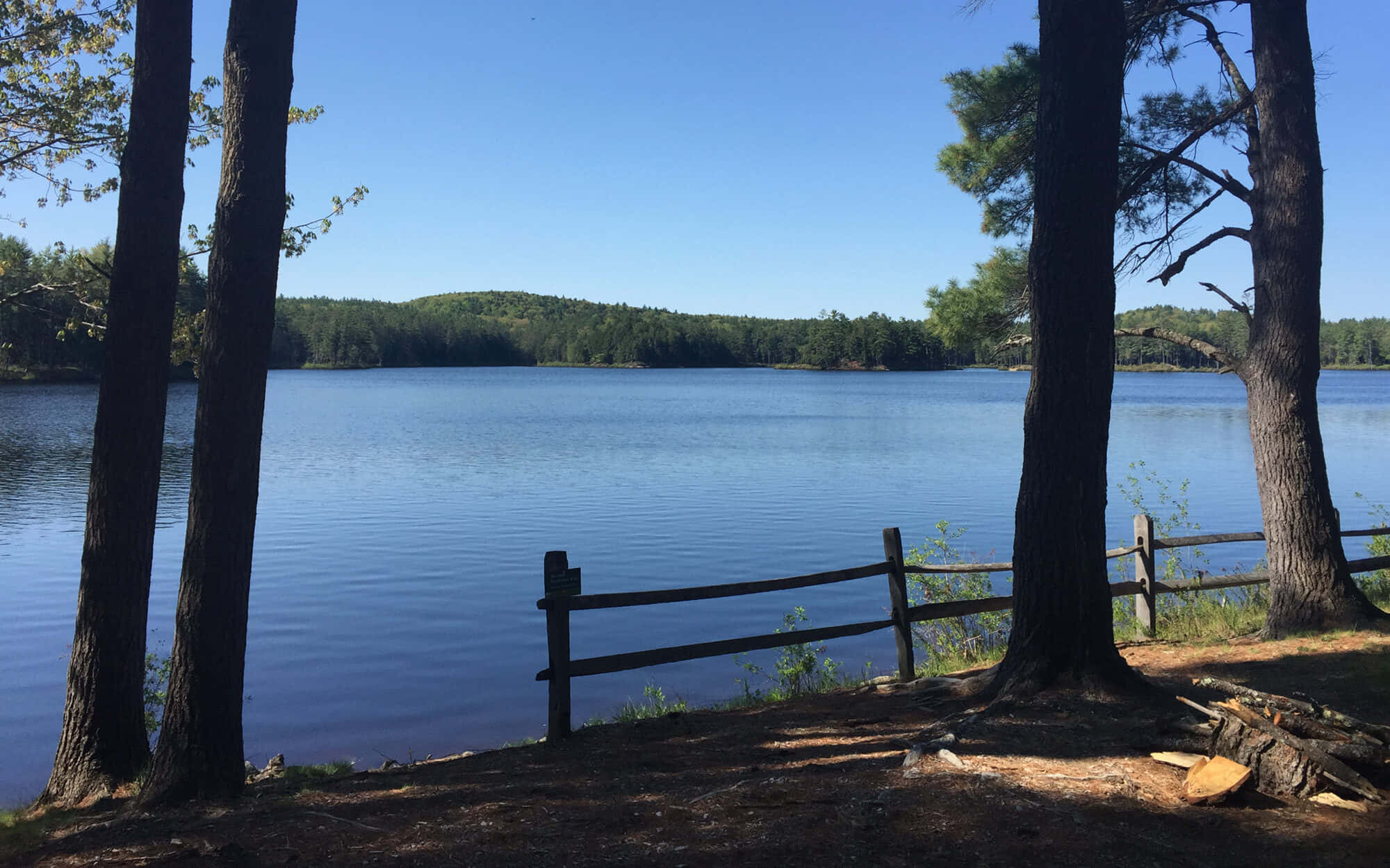 Lake 桌布 壁紙 — 一個寧靜的湖泊，被高大的松樹和木柵欄環繞，在清澈的藍天下。