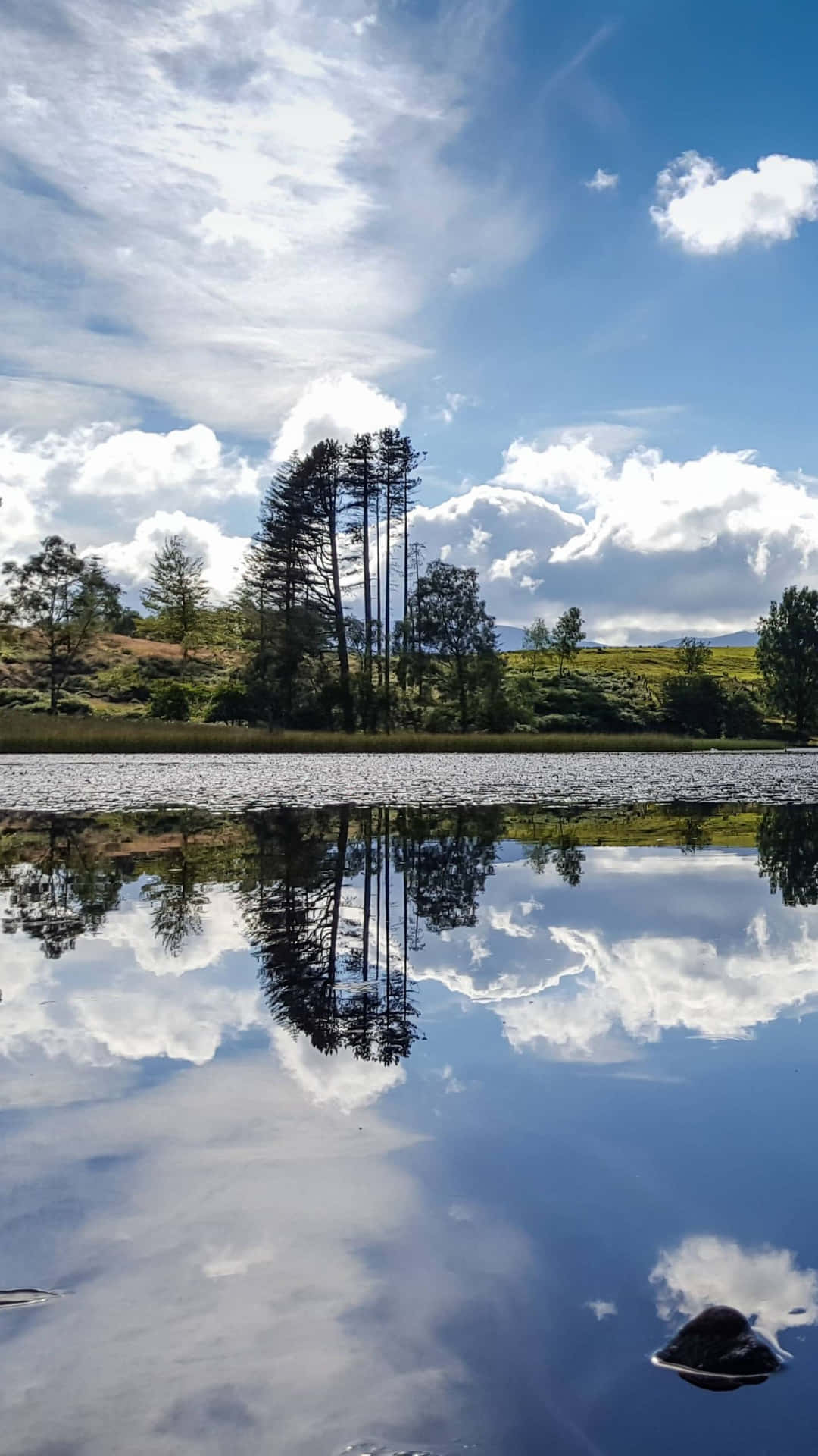 一個寧靜的湖泊完美地倒映著松樹和帶有雲朵的明亮藍天。 — Google pixel 壁紙