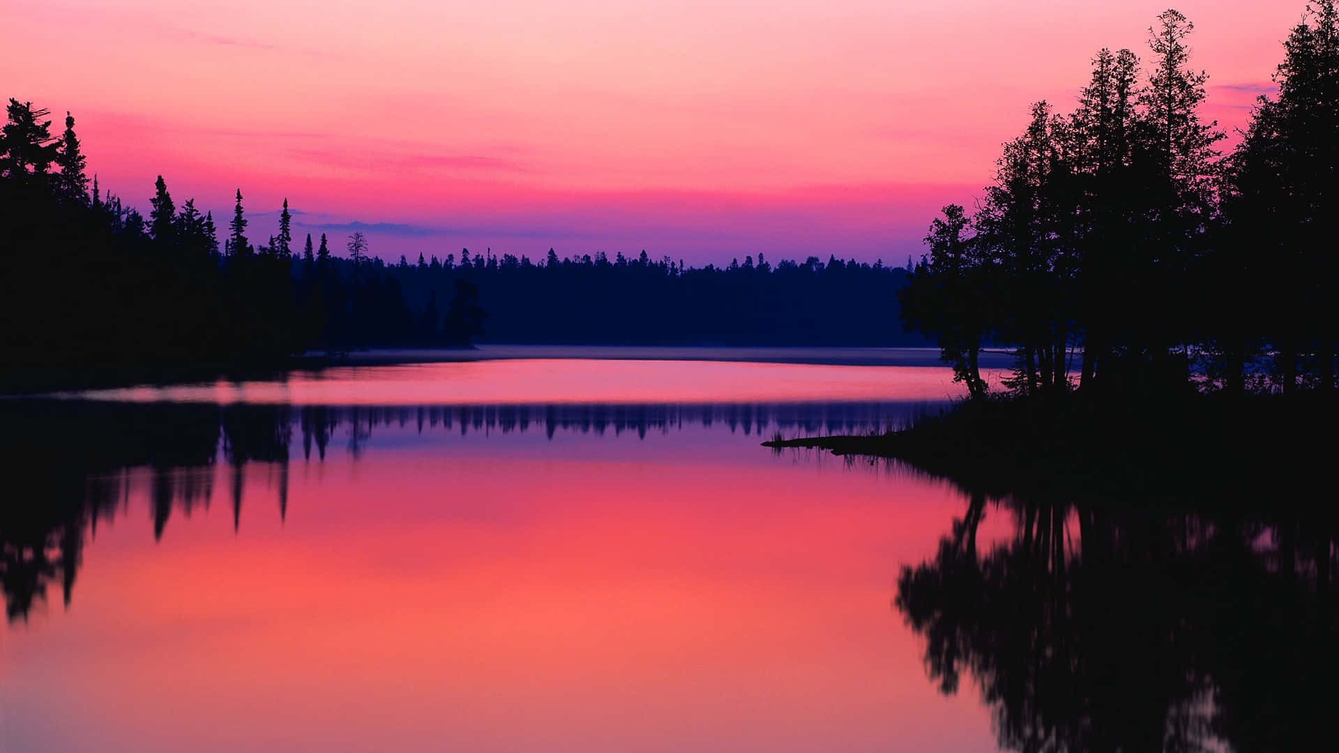 Lake 桌布 壁紙 — 一個寧靜的湖泊映照出充滿活力的粉紅色和紫色日落，剪影樹木排列在平靜的水面上。