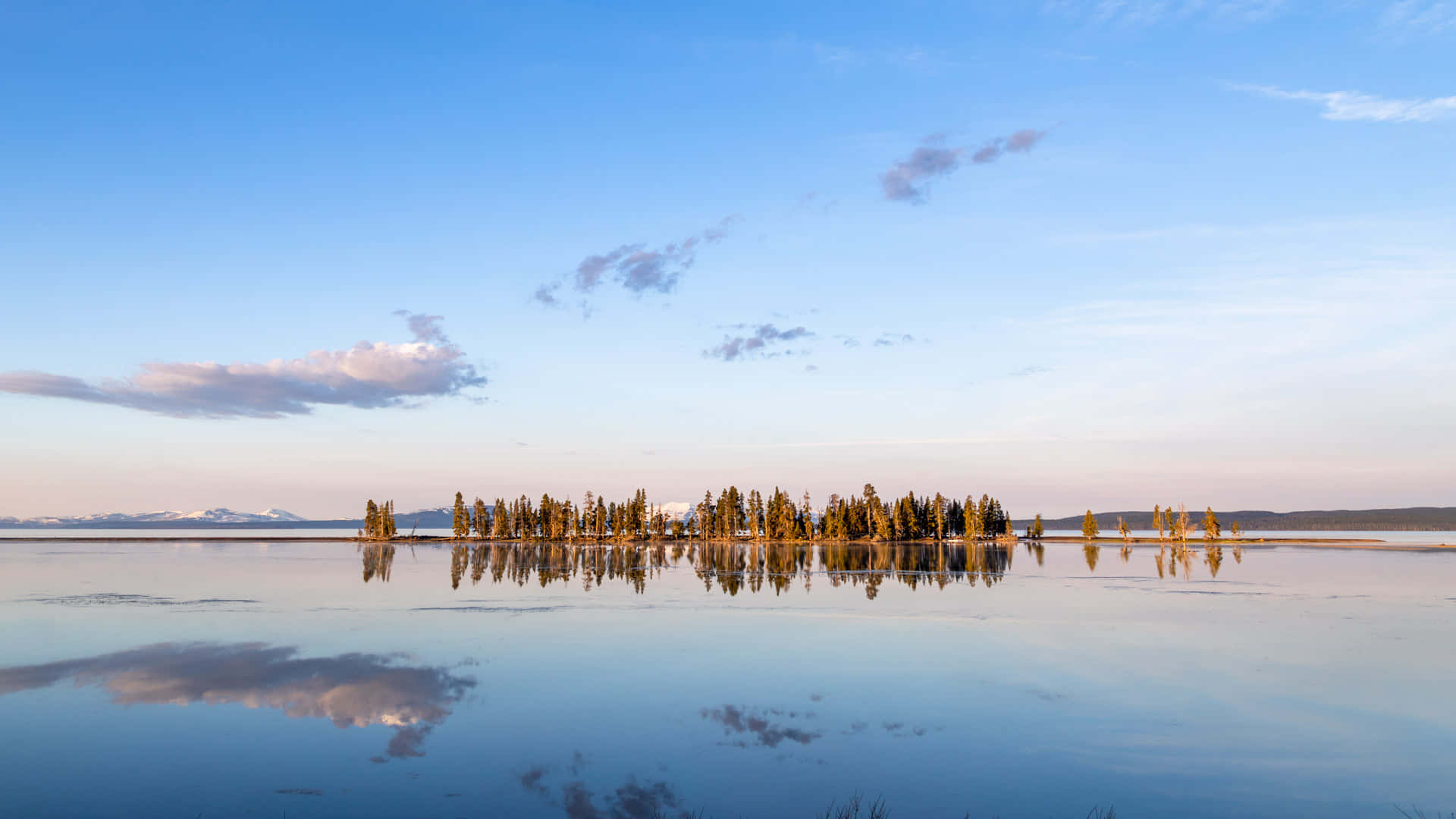 Yellowstone 桌布 壁紙 — 一個寧靜的湖泊映照著一排樹木和遠處白雪覆蓋的山脈，天空柔和藍色，雲朵散佈。