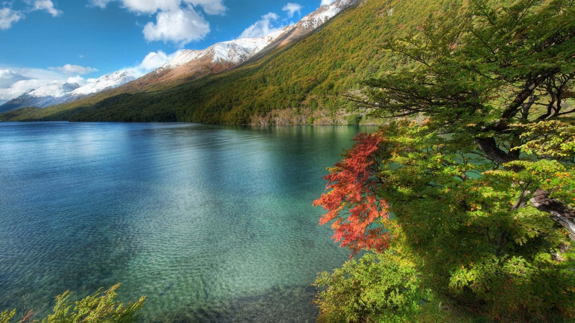 Japan Landscape 桌布 壁紙 — 一個寧靜的湖泊映照著白雪覆蓋的山脈和秋日樹木，樹上鮮紅的樹葉在明亮的藍天下閃耀。