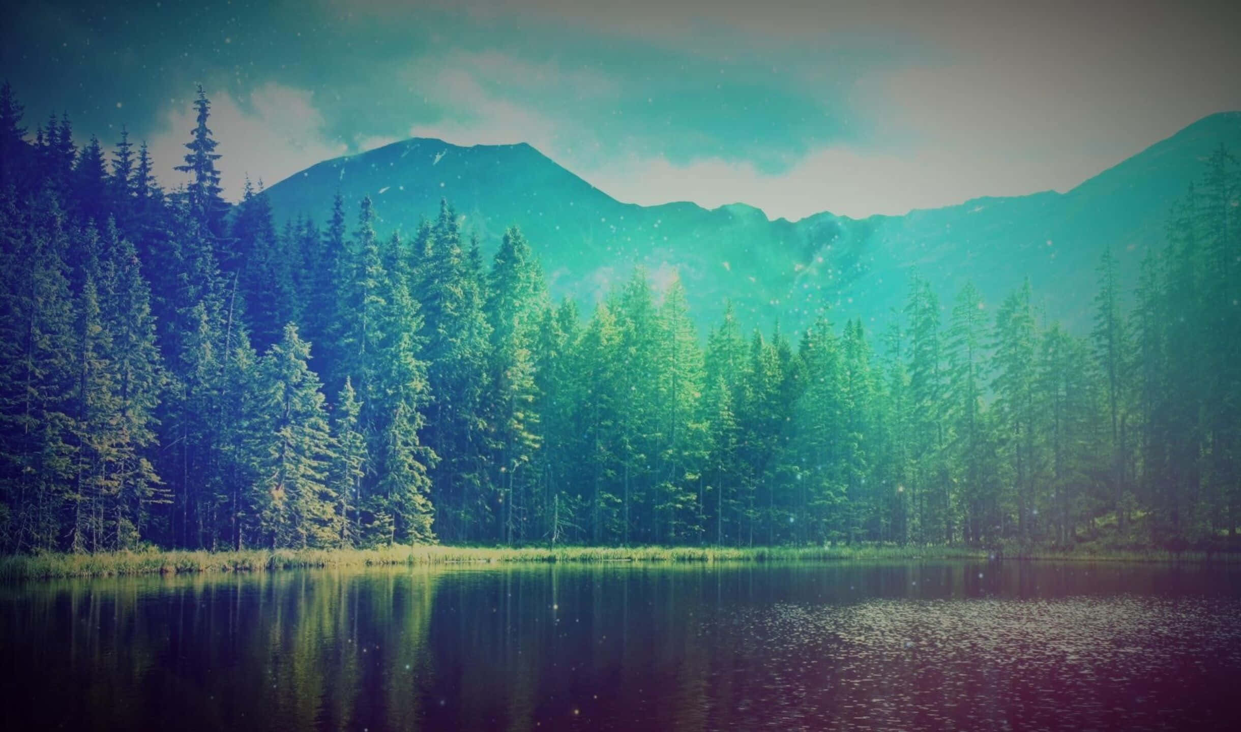 Lake 桌布 壁紙 — 一個寧靜的湖泊映照著茂密的松樹林和霧氣籠罩的山脈，在青綠色的天空下飄著柔軟的雪花。