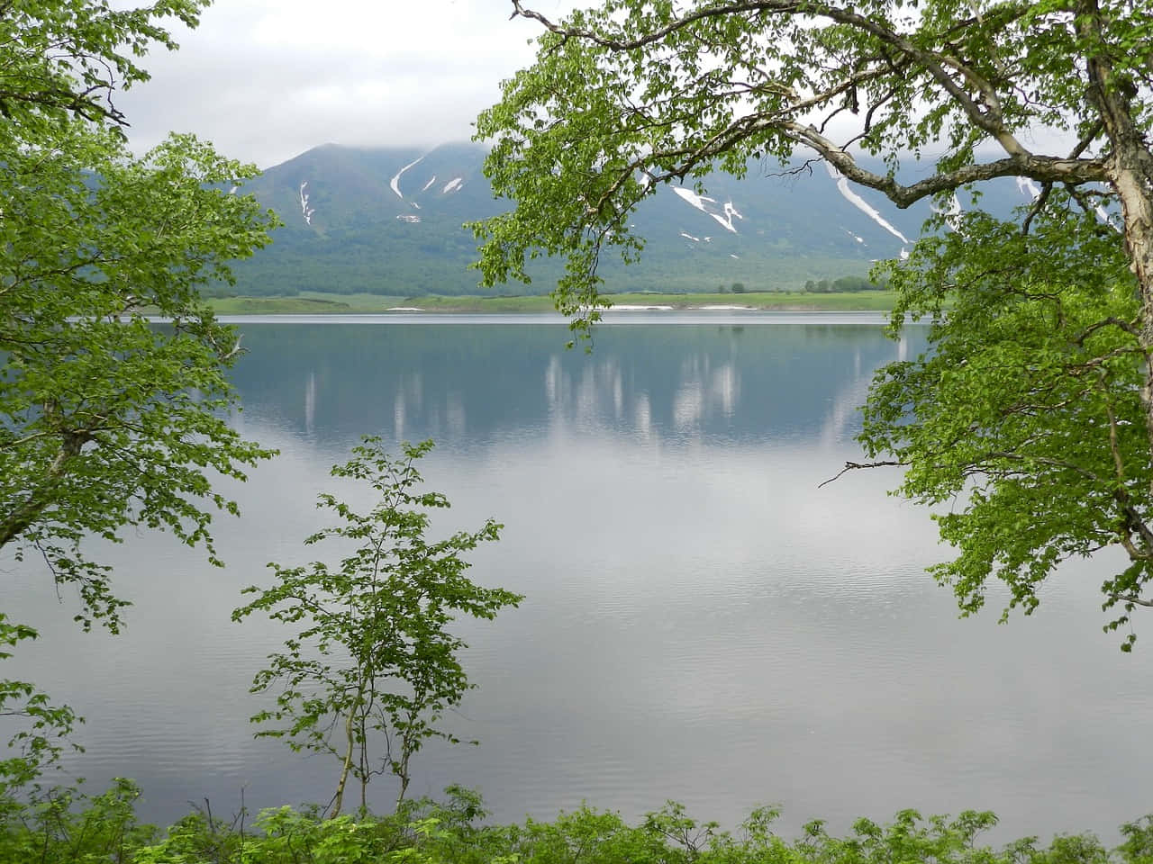 Spring Nature 桌布 壁紙 — 一個寧靜的湖面映照著被白雪覆蓋的山脈，周圍是茂密的綠樹，天空多雲。