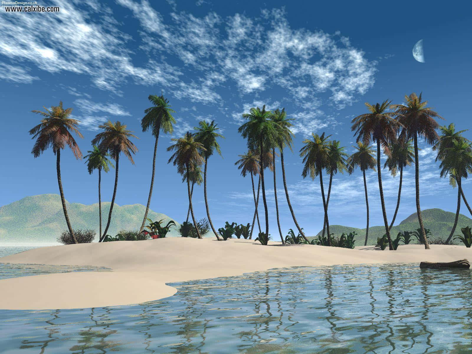 Beach Palm Trees 桌布 壁紙 — 一個寧靜的熱帶島嶼，有棕櫚樹和寧靜的水面，在明亮的藍天下有散落的雲朵和一彎新月。