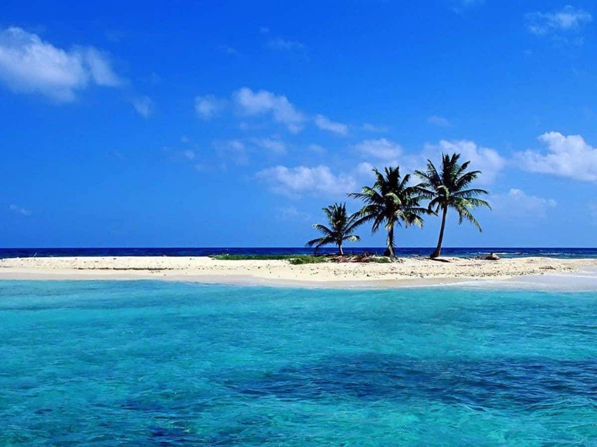 Palm Trees Beach 桌布 壁紙 — 一個寧靜的熱帶島嶼，有白色沙灘和三棵棕櫚樹，周圍是清澈的碧綠海水，在明亮的藍天和零星雲朵下。