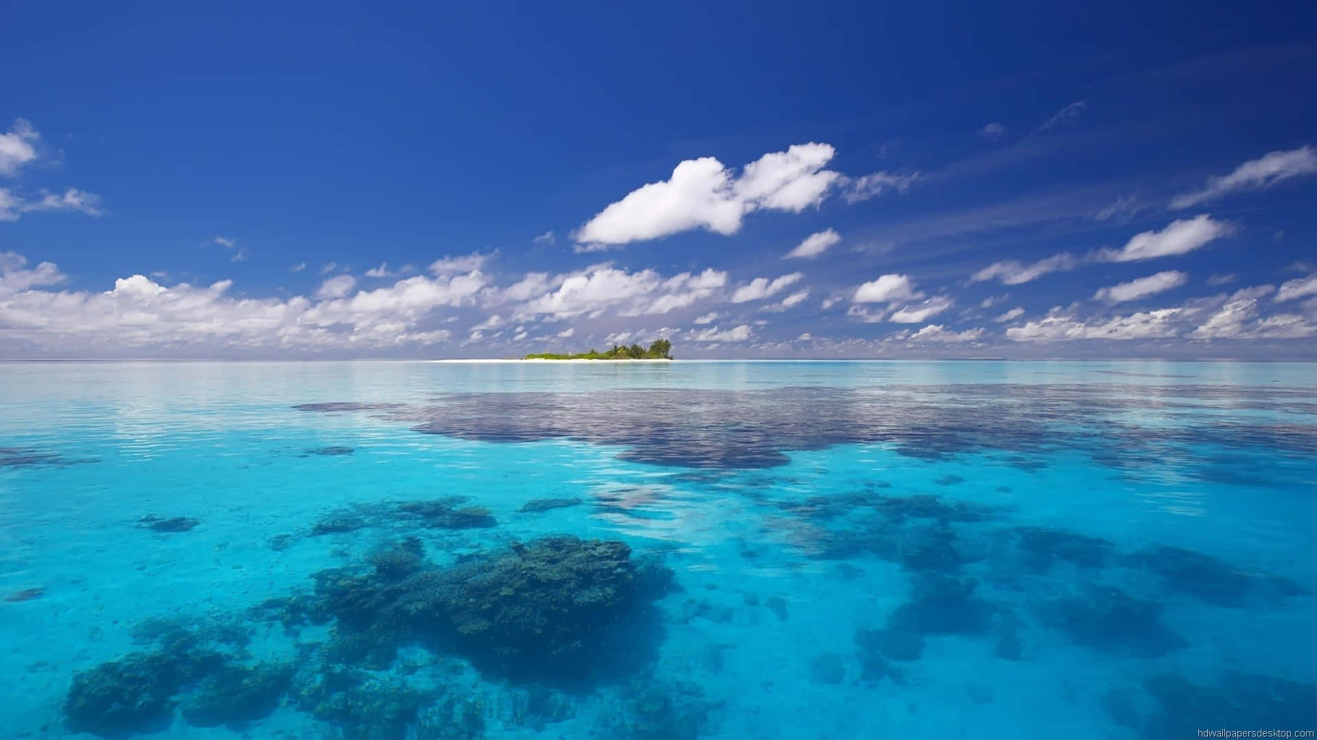 藍天白雲下，碧綠海水和珊瑚礁的熱帶島嶼 — 水下動畫 壁紙