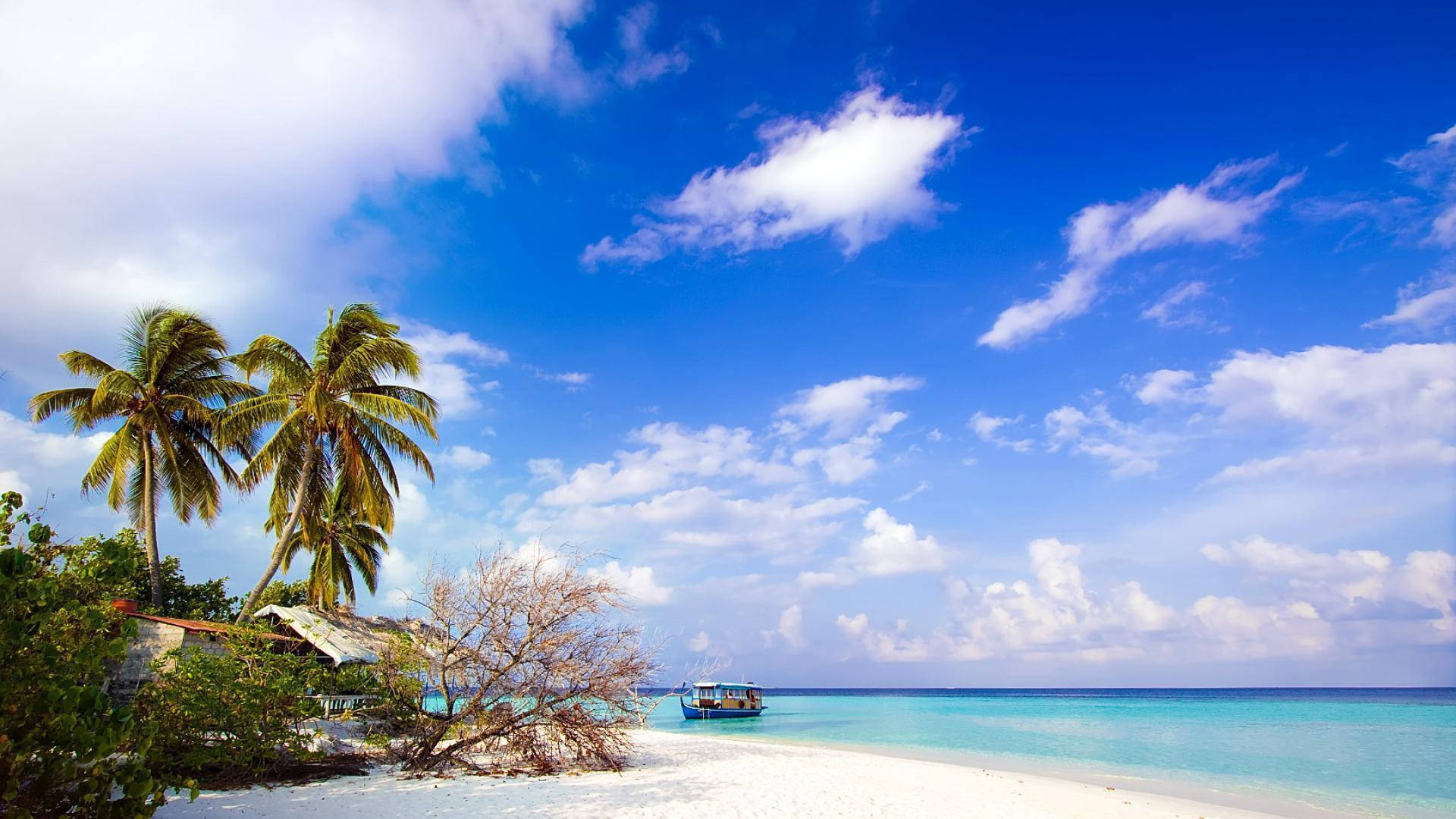 Caribbean 桌布 壁紙 — 一個寧靜的熱帶海灘，有白色沙灘、碧綠海水和棕櫚樹，在明亮的藍天下有蓬鬆的雲朵。