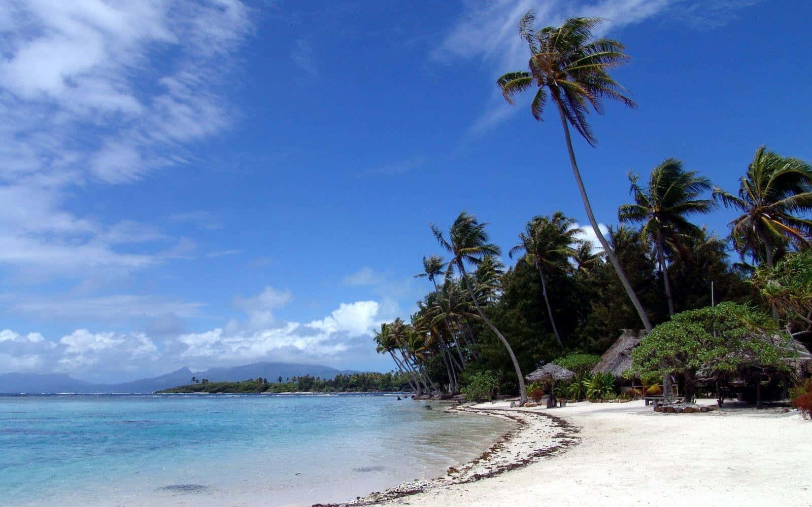 Beach Desktop 桌布 壁紙 — 一個寧靜的熱帶海灘，有白色沙灘、碧綠海水和搖曳的棕櫚樹，在明亮的藍天和散落的雲朵下。