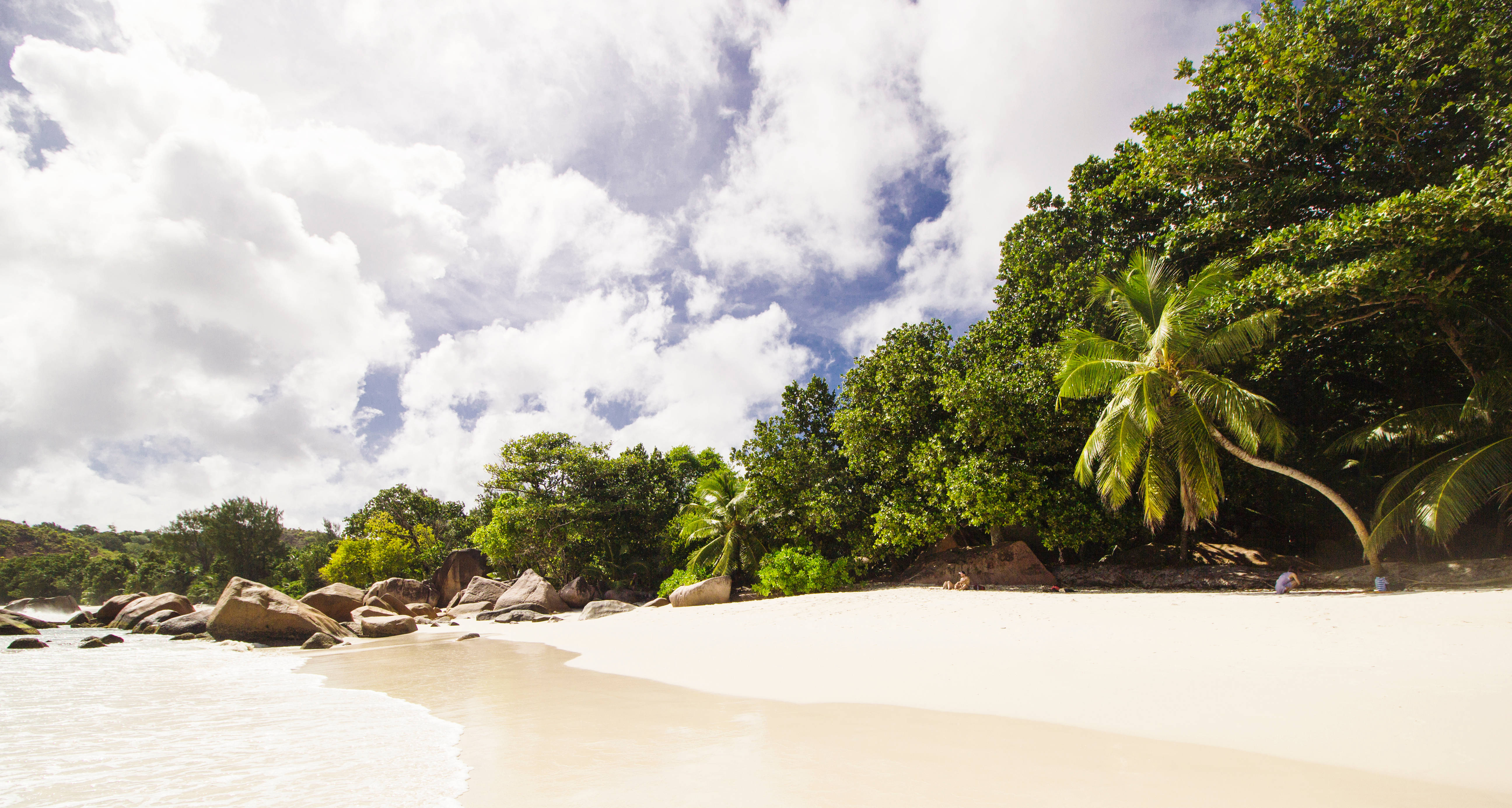 Seychelles 桌布 壁紙 — 一個寧靜的熱帶海灘，有白色沙灘、碧綠海水和茂密的綠色棕櫚樹，天空部分多雲。