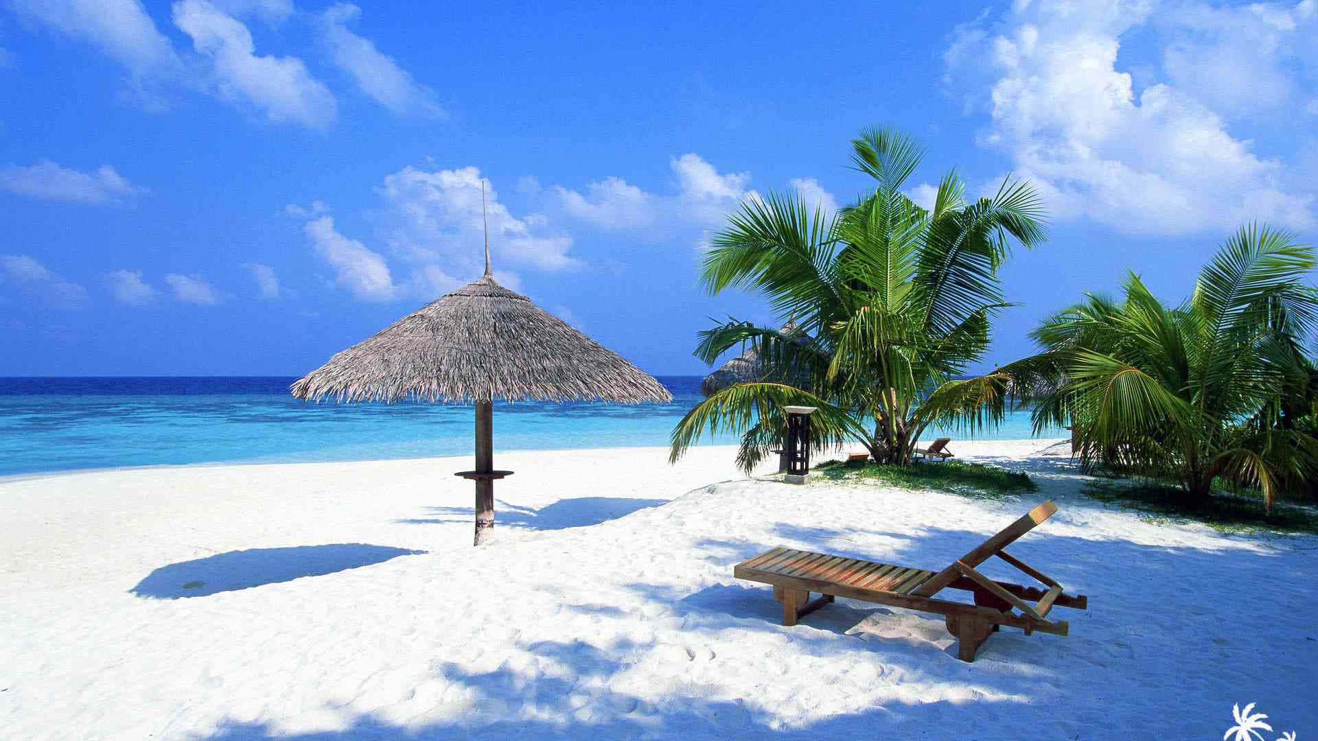 Cute Beach 桌布 壁紙 — 一個寧靜的熱帶海灘，有白色沙灘、碧綠海水、棕櫚樹和一個茅草遮陽傘，為木製躺椅提供陰影。