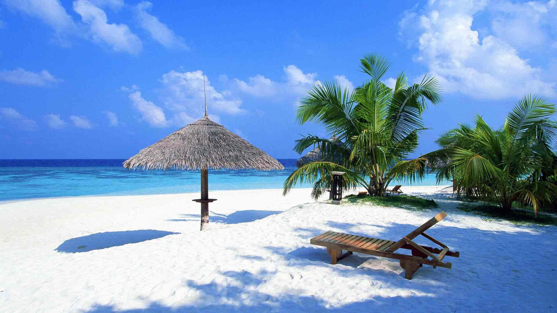 Beach Scene 桌布 壁紙 — 一個寧靜的熱帶海灘，有白色沙灘、碧綠海水、棕櫚樹和一個在木製躺椅上投下陰影的茅草傘。