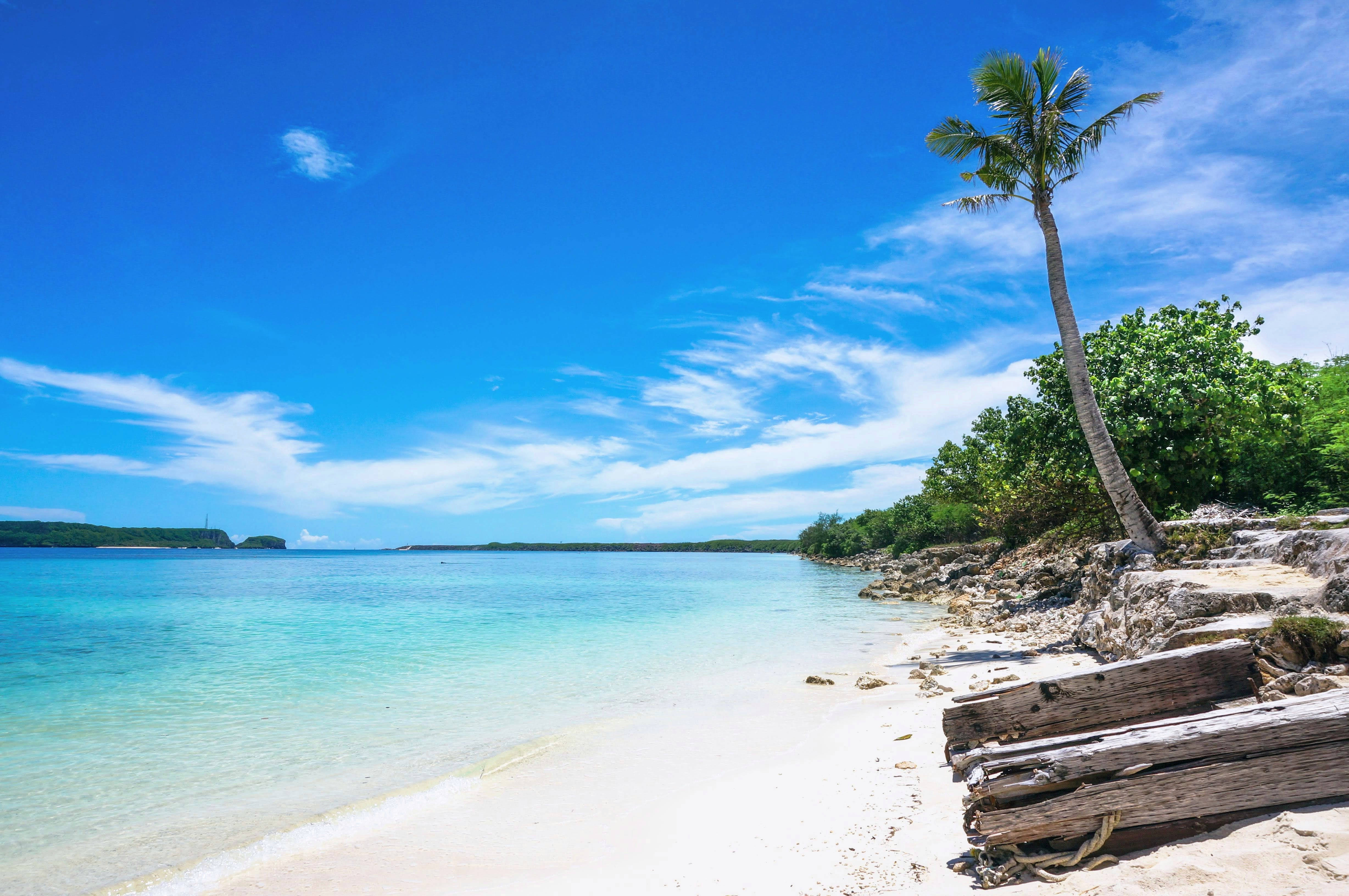 Guam 桌布 壁紙 — 一個寧靜的熱帶海灘，有碧綠的海水、白色的沙灘，還有一棵孤獨的棕櫚樹在明亮的藍天下搖曳。