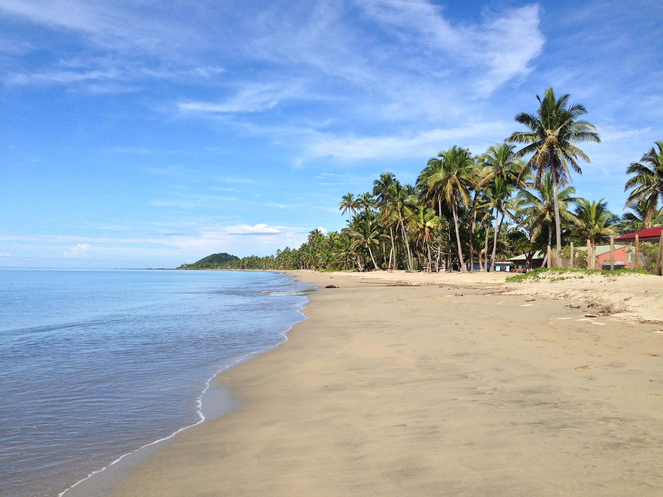 Fiji Beach 桌布 壁紙 — 一個寧靜的熱帶海灘，有金色沙灘、溫柔的海浪和棕櫚樹在明亮的藍天下搖曳。