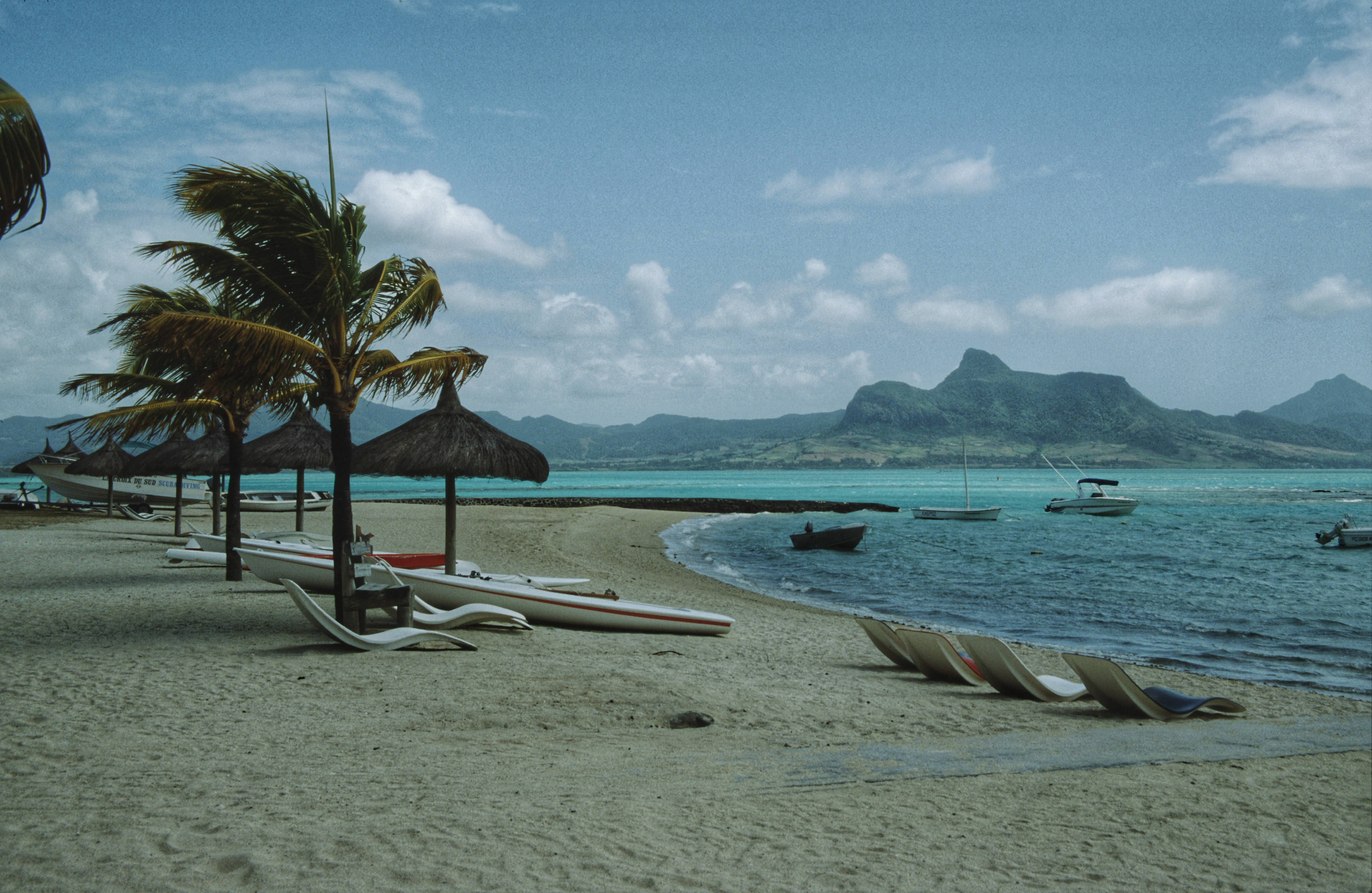 Mauritius 桌布 壁紙 — 一個寧靜的熱帶海灘，棕櫚樹、茅草傘和船隻在金色沙灘上休息，天空湛藍。