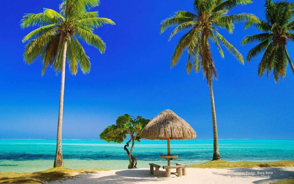 Tropical Beach 桌布 壁紙 — 一個寧靜的熱帶海灘，棕櫚樹和茅草小屋俯瞰著清澈藍天下的碧綠海水。