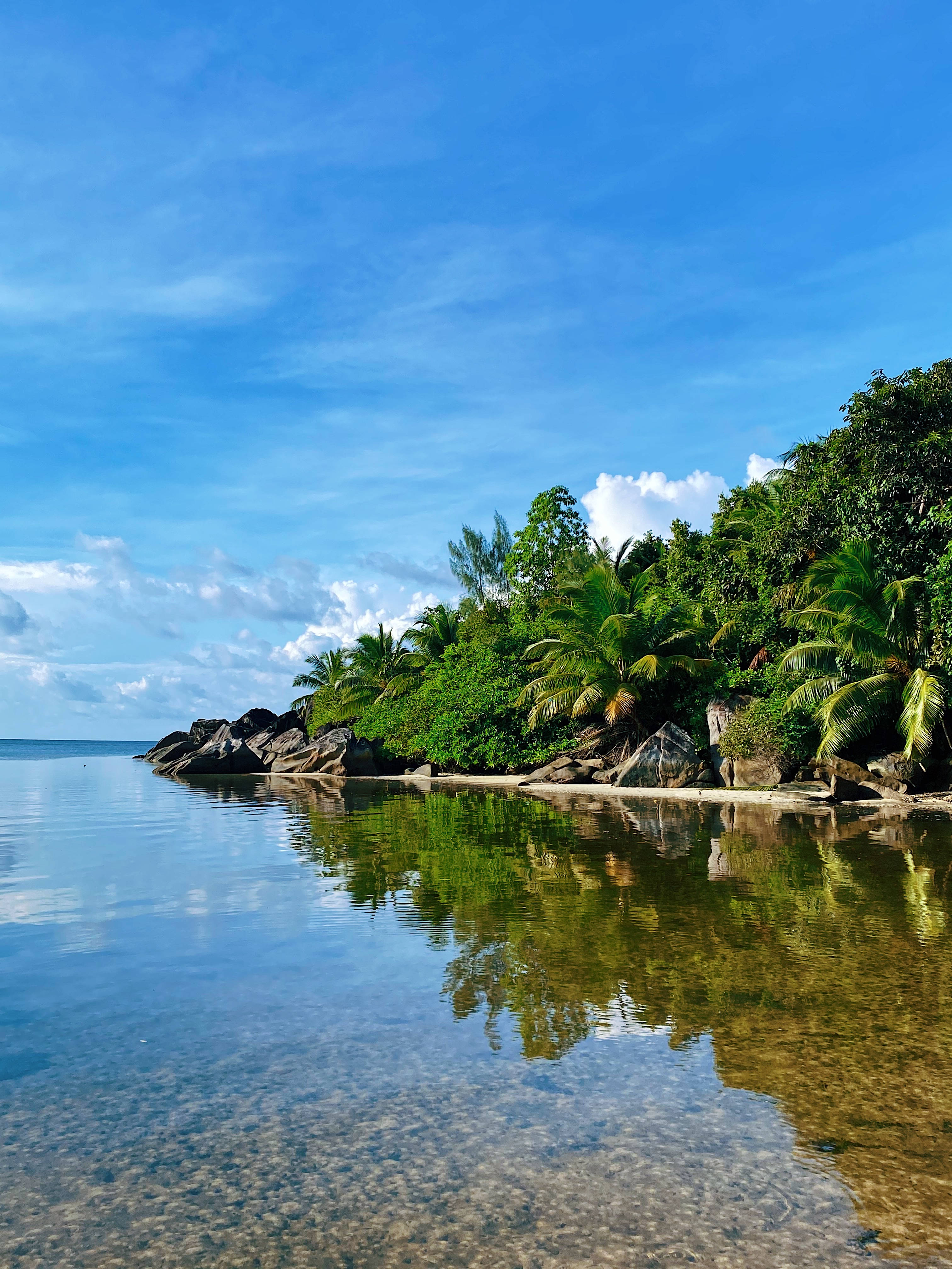 Seychelles 桌布 壁紙 — 一個寧靜的熱帶海灘，清澈的碧綠海水映照著茂密的綠色棕櫚樹和岩石海岸，上方是明亮的藍天。