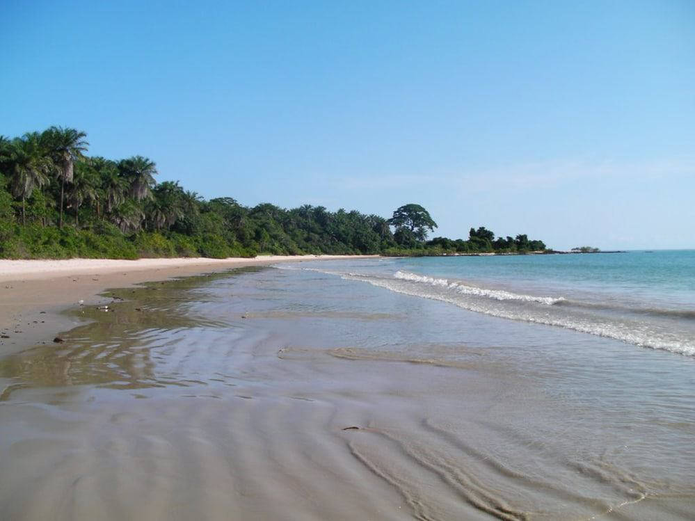 Guinea Bissau 桌布 壁紙 — 一個寧靜的熱帶海灘，溫柔的海浪拍打著濕潤的沙灘，兩旁是茂密的棕櫚樹，頭頂是清澈的藍天。