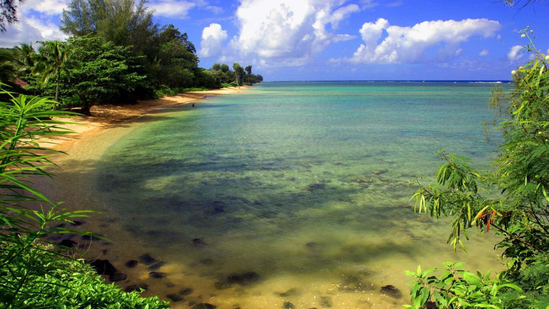 自然 桌布 壁紙 — 一個寧靜的熱帶海灘，碧綠的海水輕輕拍打著沙灘，周圍是茂密的綠色植物，上方是明亮的藍天和蓬鬆的白雲。