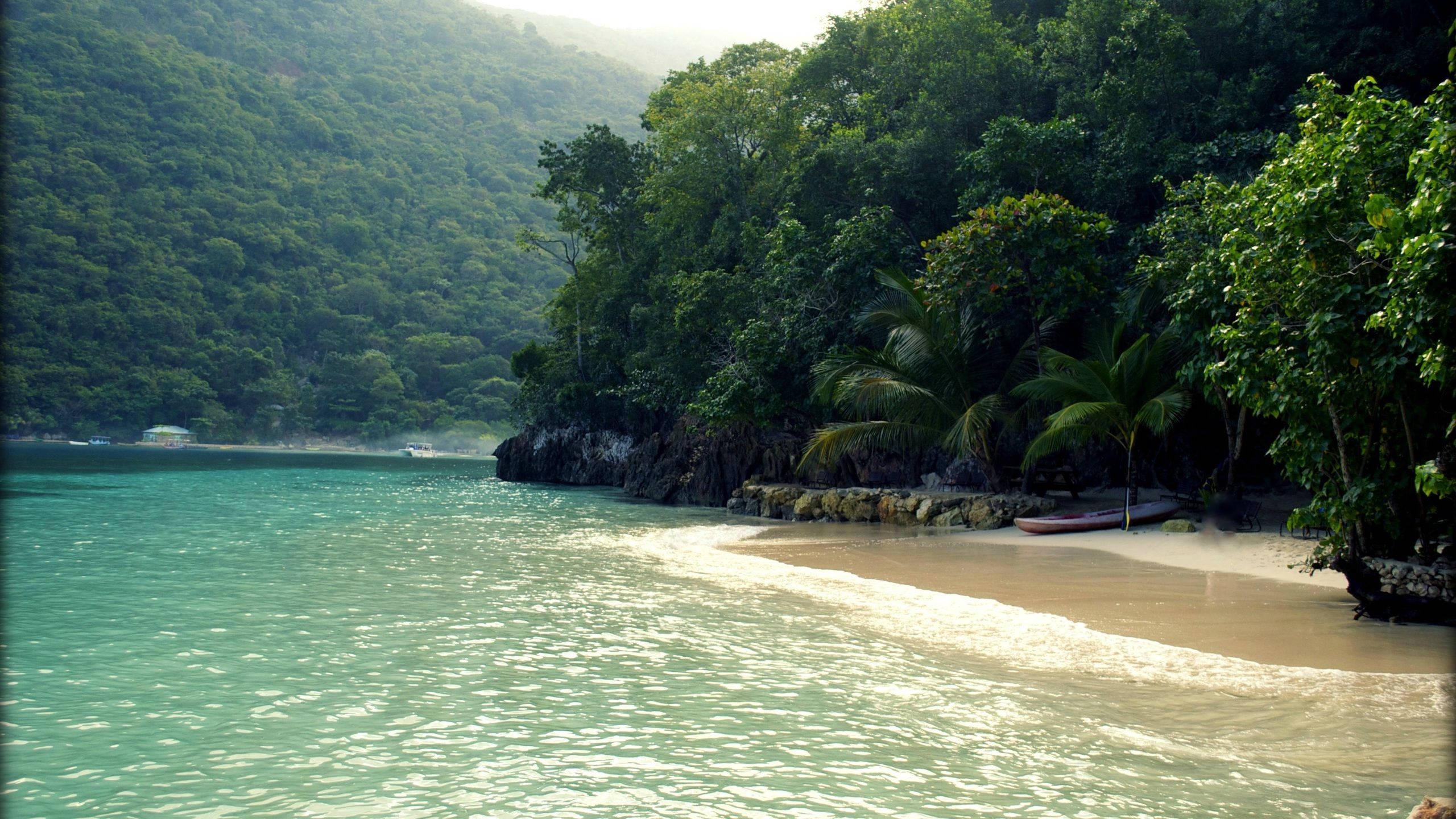 Haiti 桌布 壁紙 — 一個寧靜的熱帶海灣，碧綠的海水拍打著沙灘，沙灘兩旁種滿了茂密的綠色棕櫚樹和森林覆蓋的山丘。
