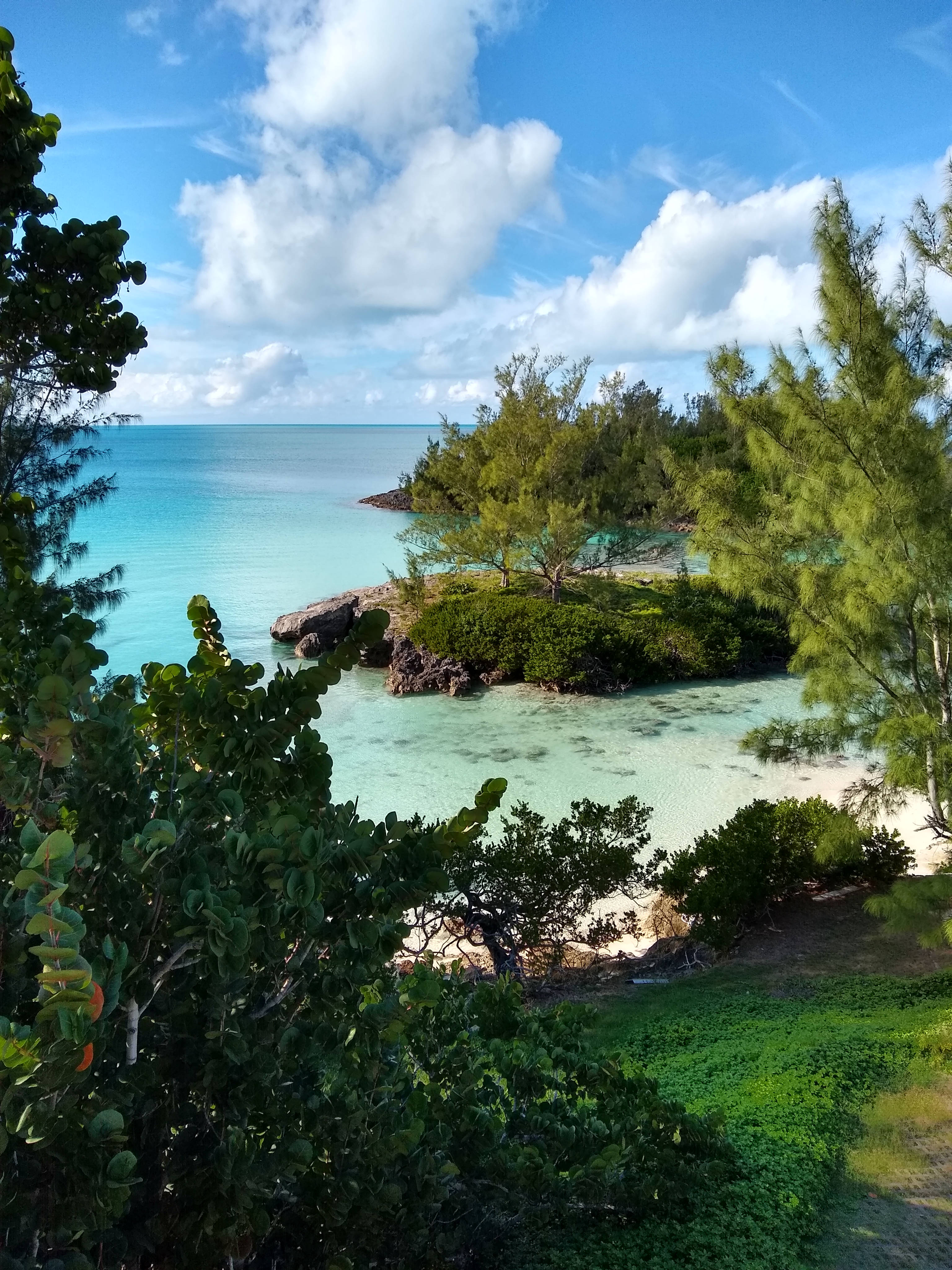 Bermuda 桌布 壁紙 — 一個寧靜的熱帶海灣，被茂密的綠色植物環繞，有碧綠的海水和沙灘，在明亮的藍天和白雲下。