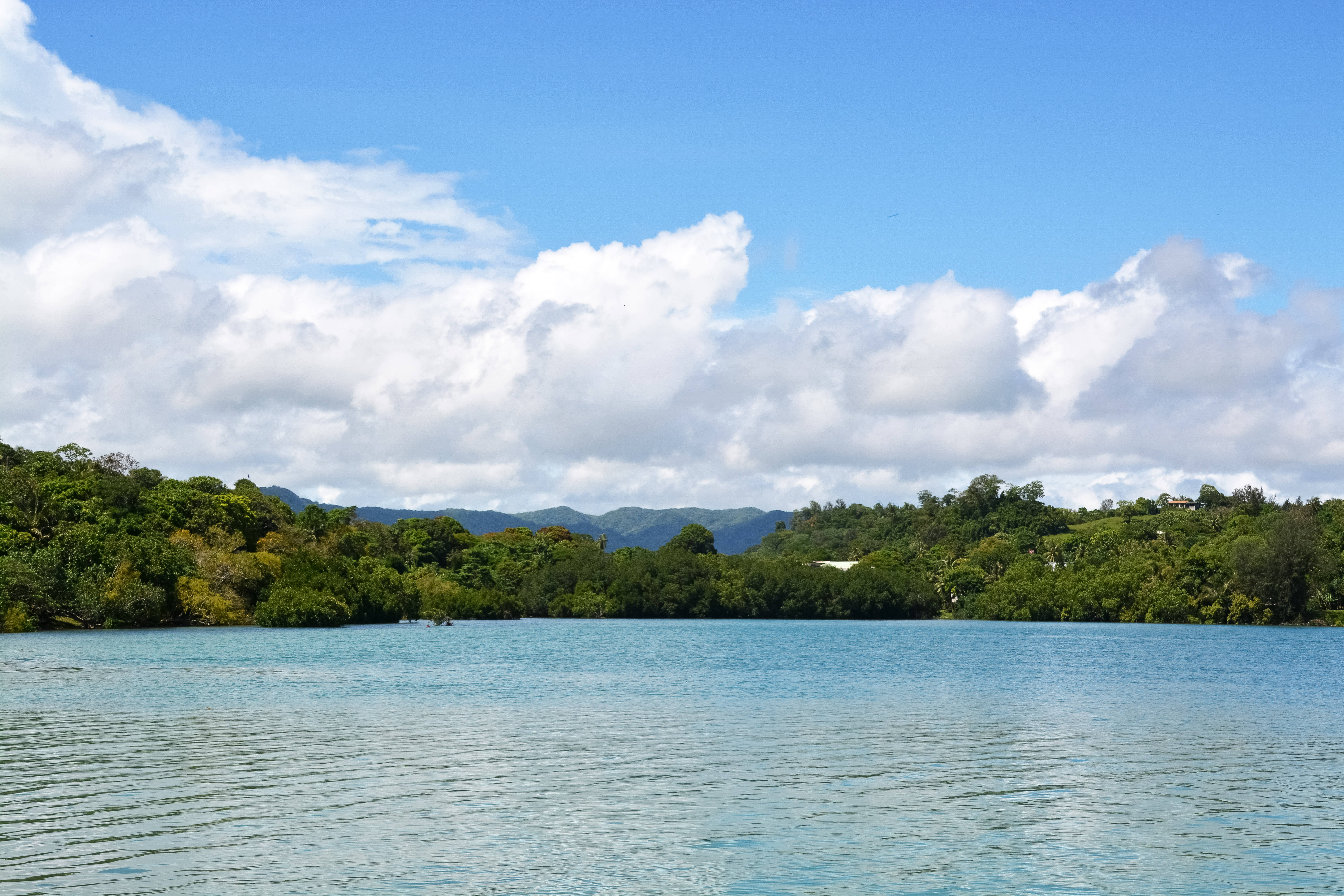 Vanuatu 桌布 壁紙 — 一個寧靜的熱帶潟湖，擁有碧綠色的水和茂密的綠色紅樹林，在明亮的藍天和蓬鬆的白雲下。