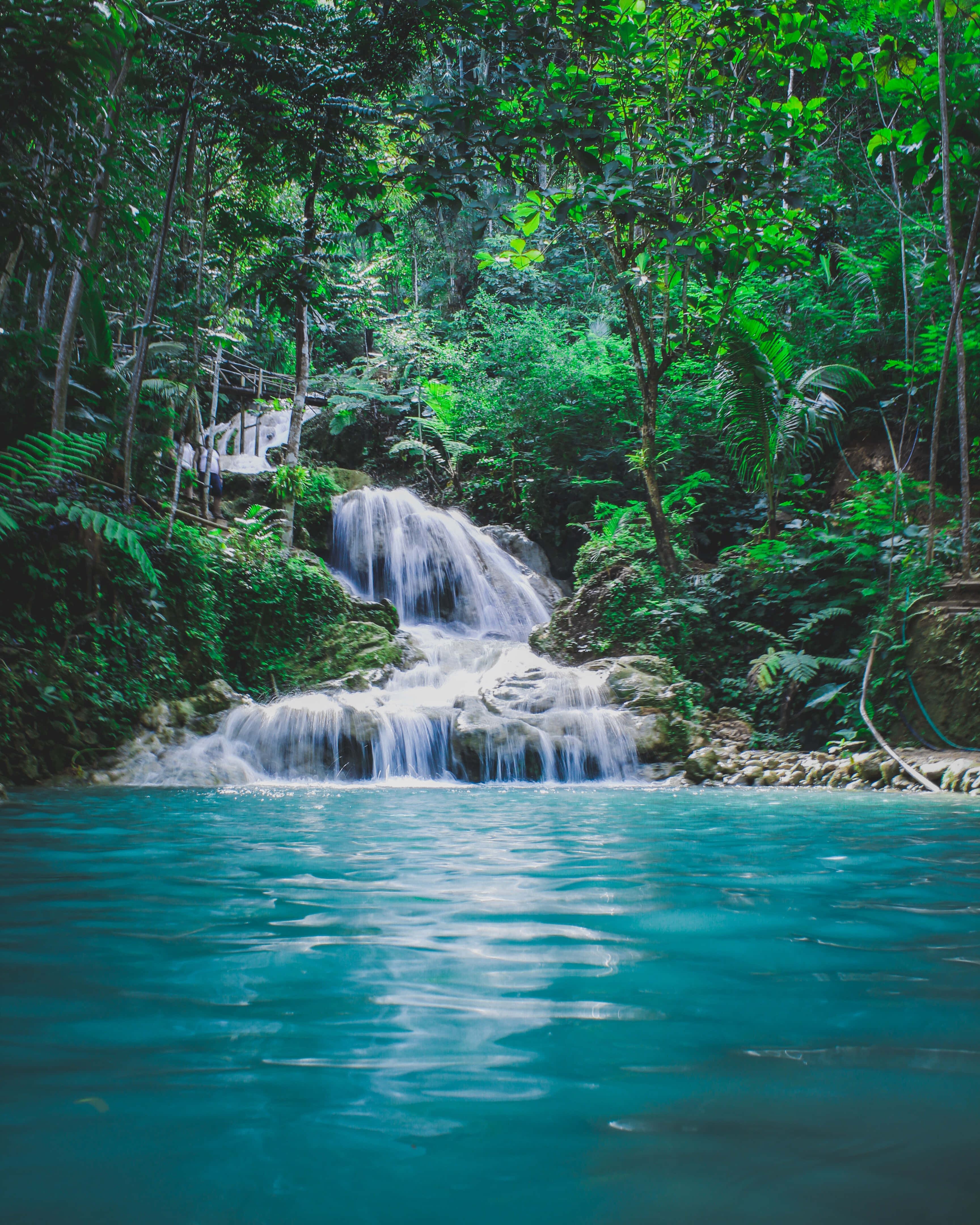 river 桌布 壁紙 — 一個寧靜的熱帶瀑布傾瀉而下，流入一個充滿活力的綠松石色水池，四周環繞著茂密的綠色叢林植被。