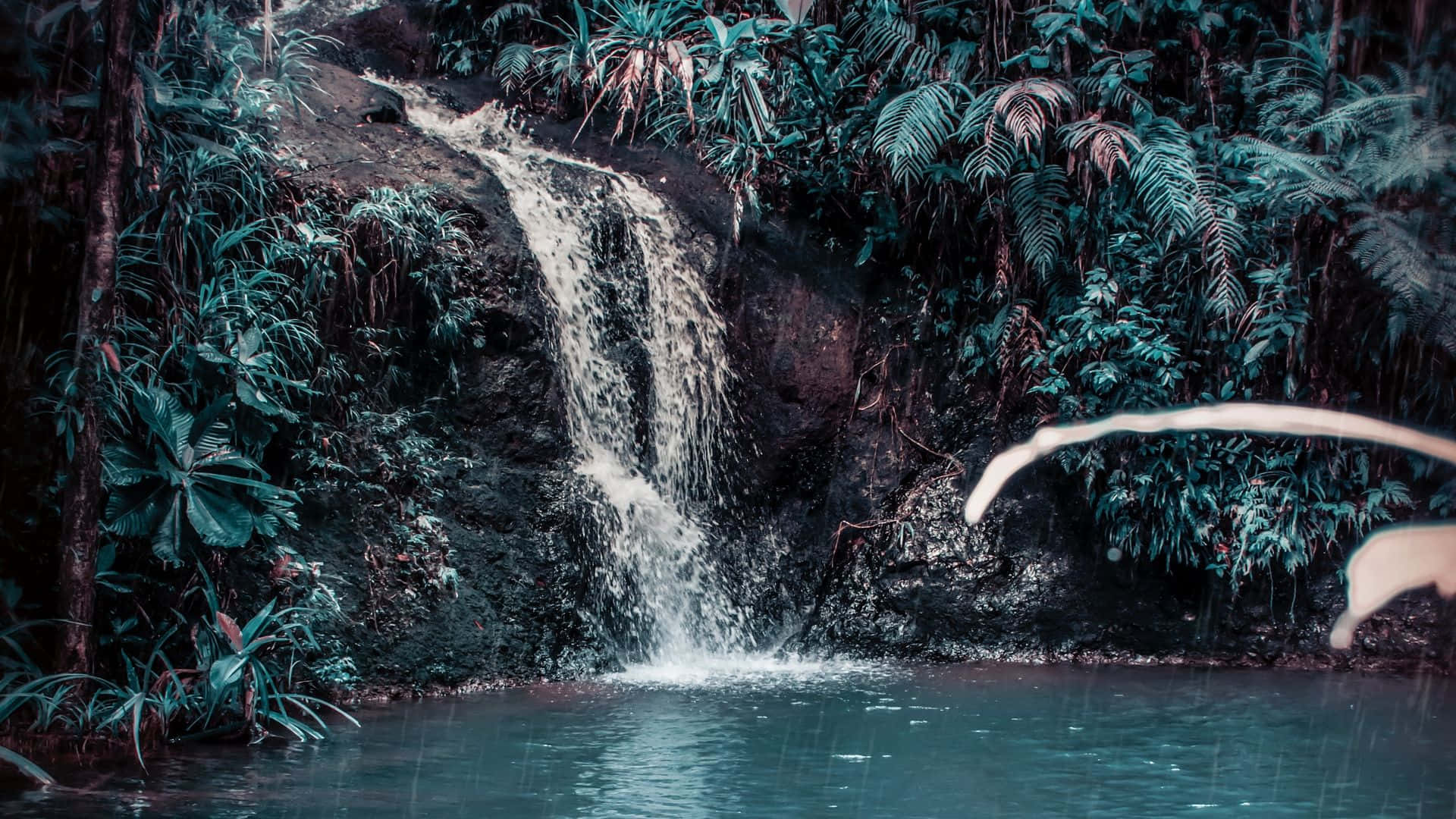 Waterfalls 桌布 壁紙 — 一個寧靜的熱帶瀑布傾瀉而下，流入一個被茂密綠色蕨類植物和樹木環繞的平靜水池，細雨綿綿。