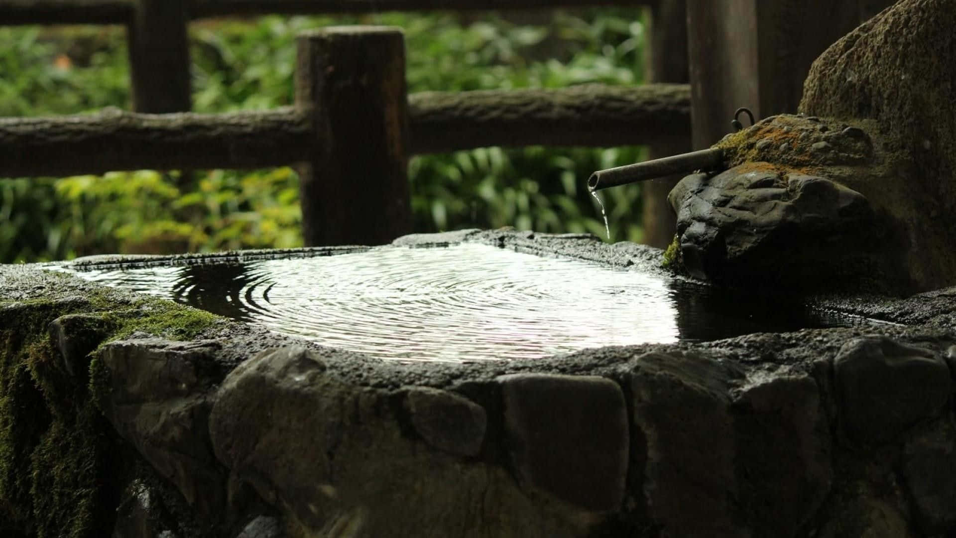禪 桌布 壁紙 — 一個寧靜的石水盆，位於長滿苔蘚的花園中，竹管滴水流入池中。