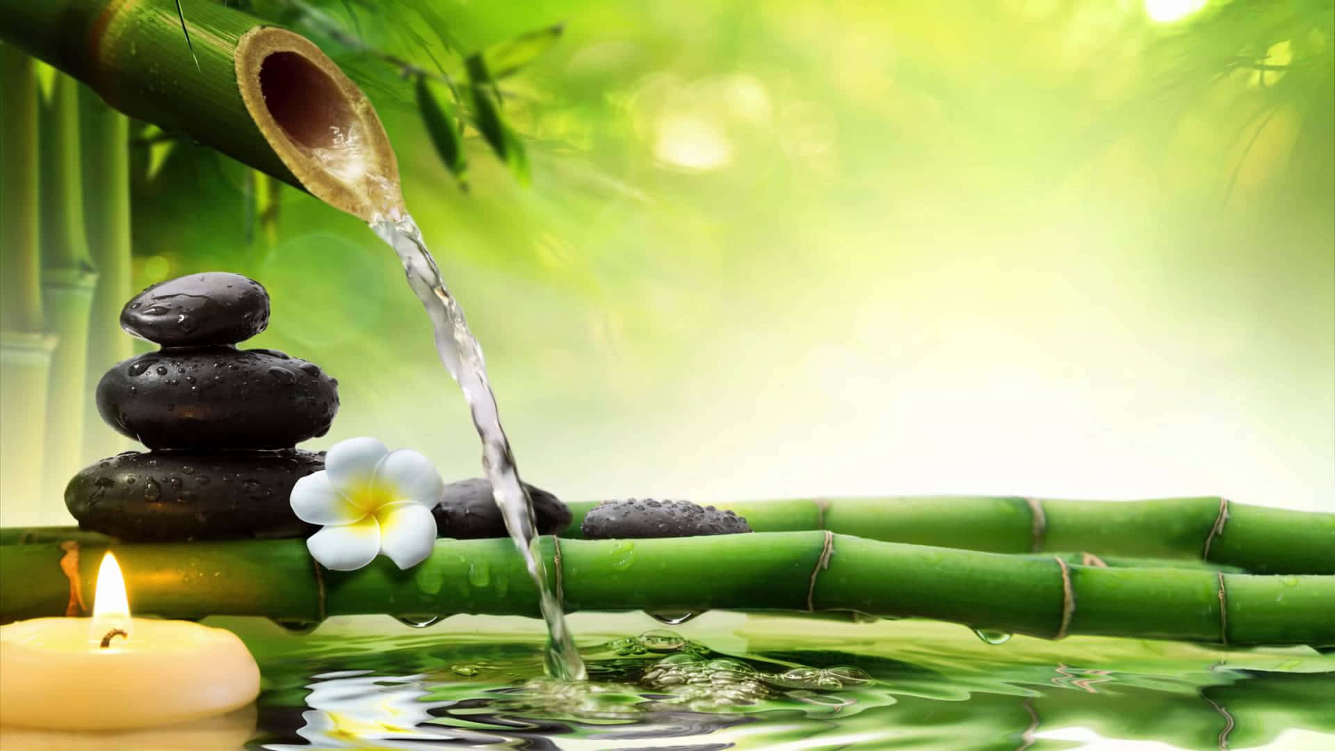 禪 桌布 壁紙 — 一個寧靜的禪意場景，水從竹筒流入水池，旁邊有堆疊的黑石和一朵白色的雞蛋花。