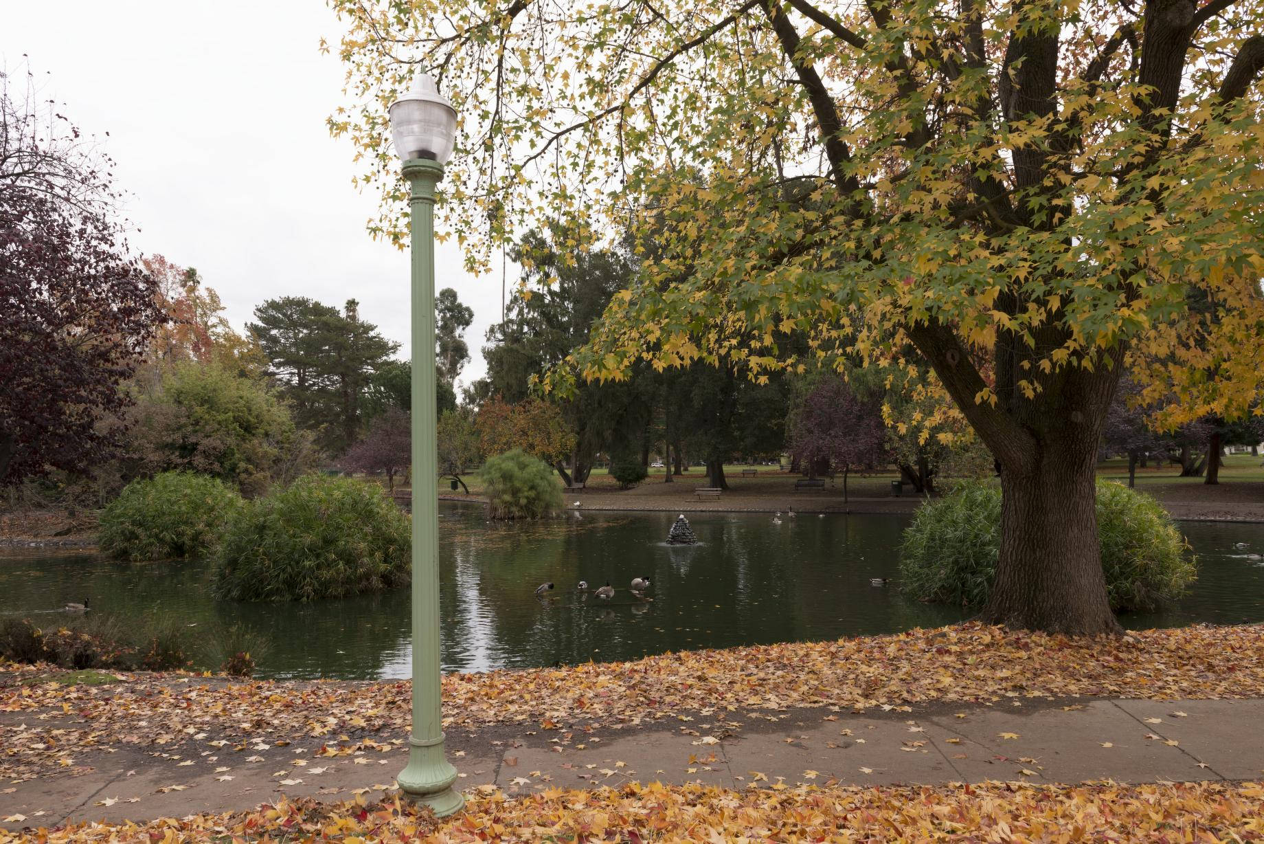 秋季 桌布 壁紙 — 一個寧靜的秋季公園場景，有池塘、鴨子、復古路燈和鋪滿小徑的金色落葉。