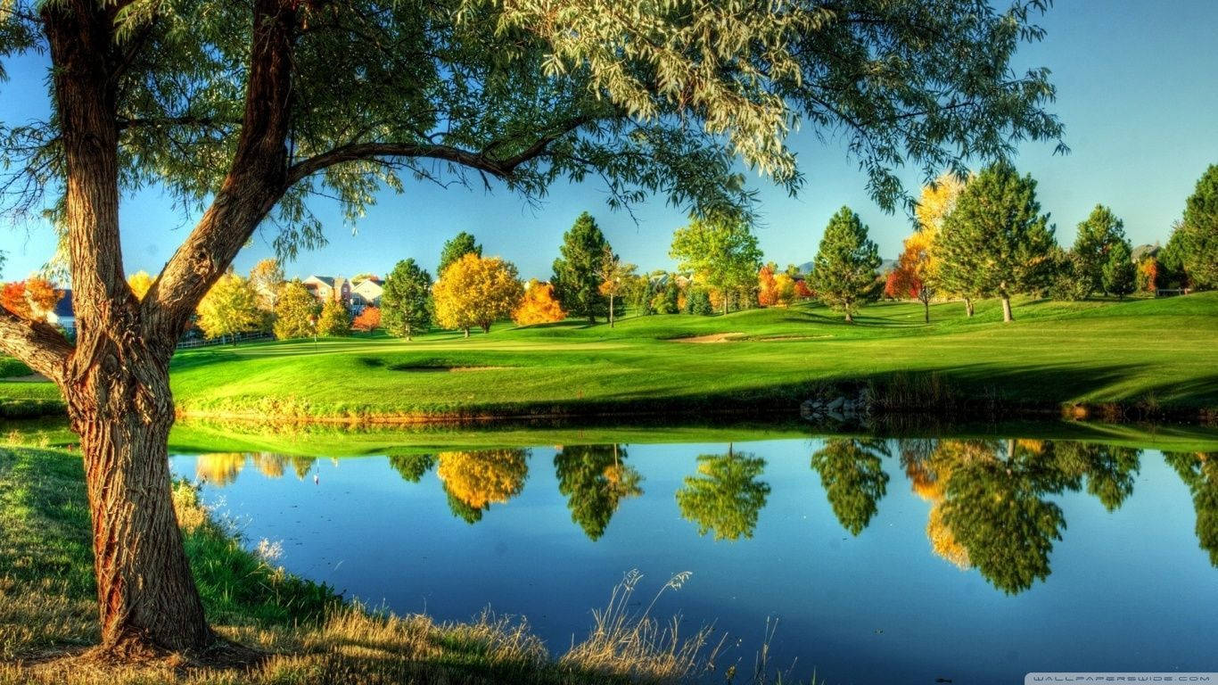 Golfing 桌布 壁紙 — 一個寧靜的秋季高爾夫球場，色彩繽紛的樹木在晴朗藍天下倒映在平靜的池塘中。
