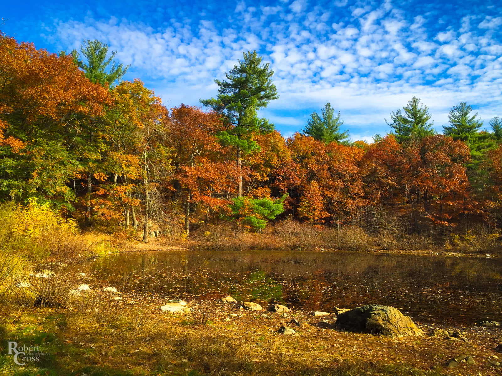 New England Autumn 桌布 壁紙 — 一個寧靜的秋日湖泊，周圍環繞著鮮豔的橙色和綠色樹木，天空湛藍，白雲點點。