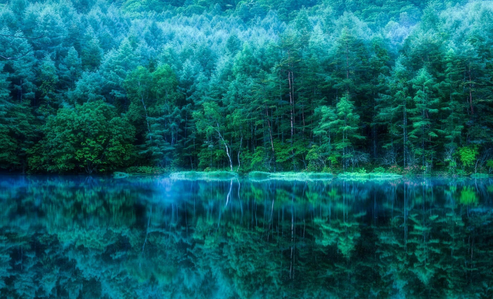 Pond 桌布 壁紙 — 一個寧靜的綠松石湖面，倒映著茂密的常綠樹林，天空柔和而迷濛。