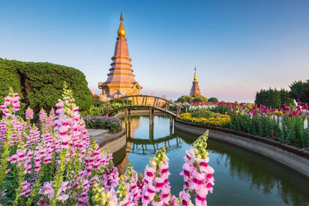 1024x682 桌布 壁紙 — 一個寧靜的花園場景，前景有粉紅色的毛地黃，水面上有彎曲的橋樑，在日落時分清澈的藍天下有金色的寶塔。