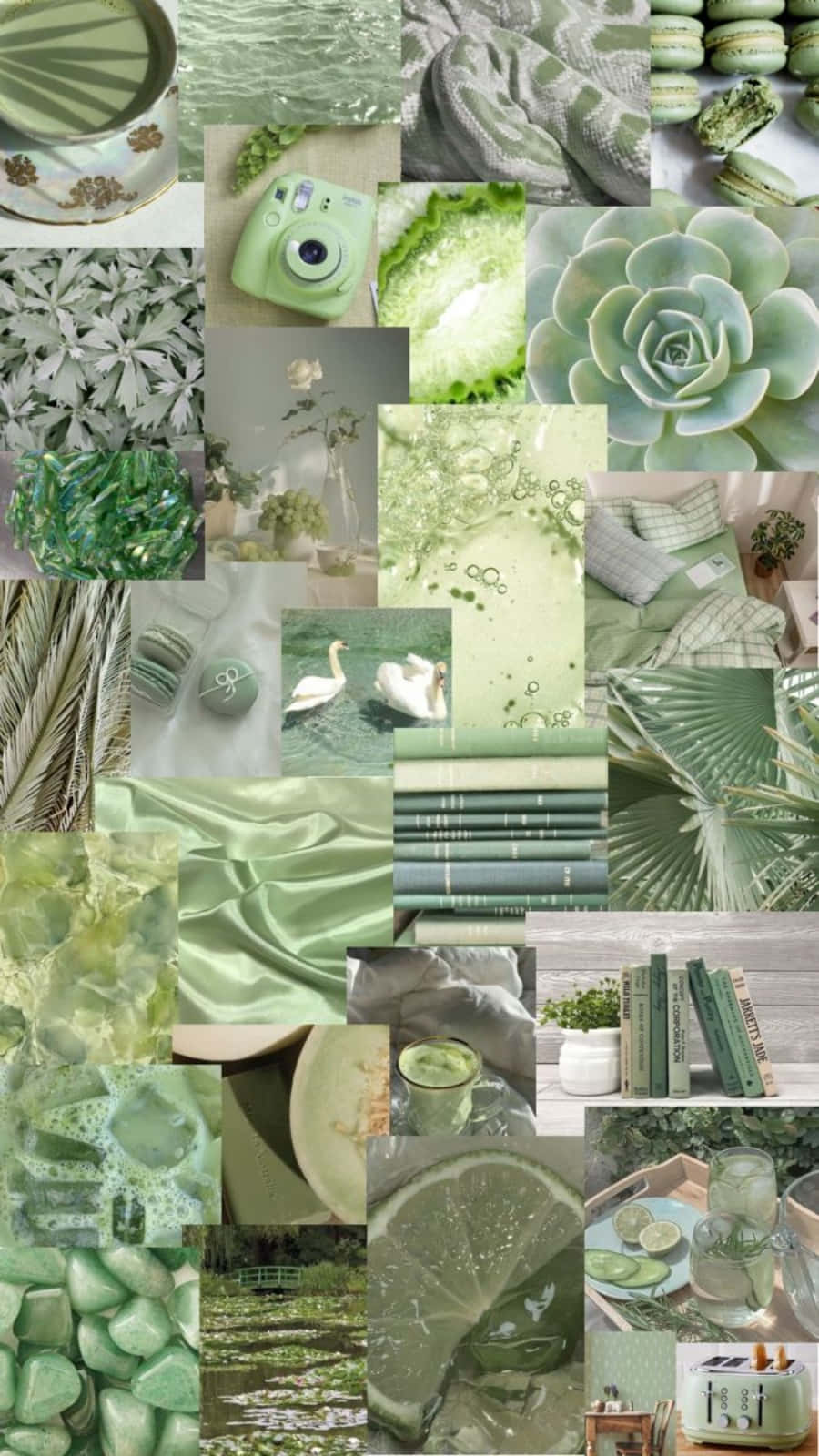Aesthetic Sage Green 桌布 壁紙 — 一個寧靜的薄荷綠色拼貼畫，包含多肉植物、馬卡龍、天鵝和質感布料，採用柔和粉彩色調。