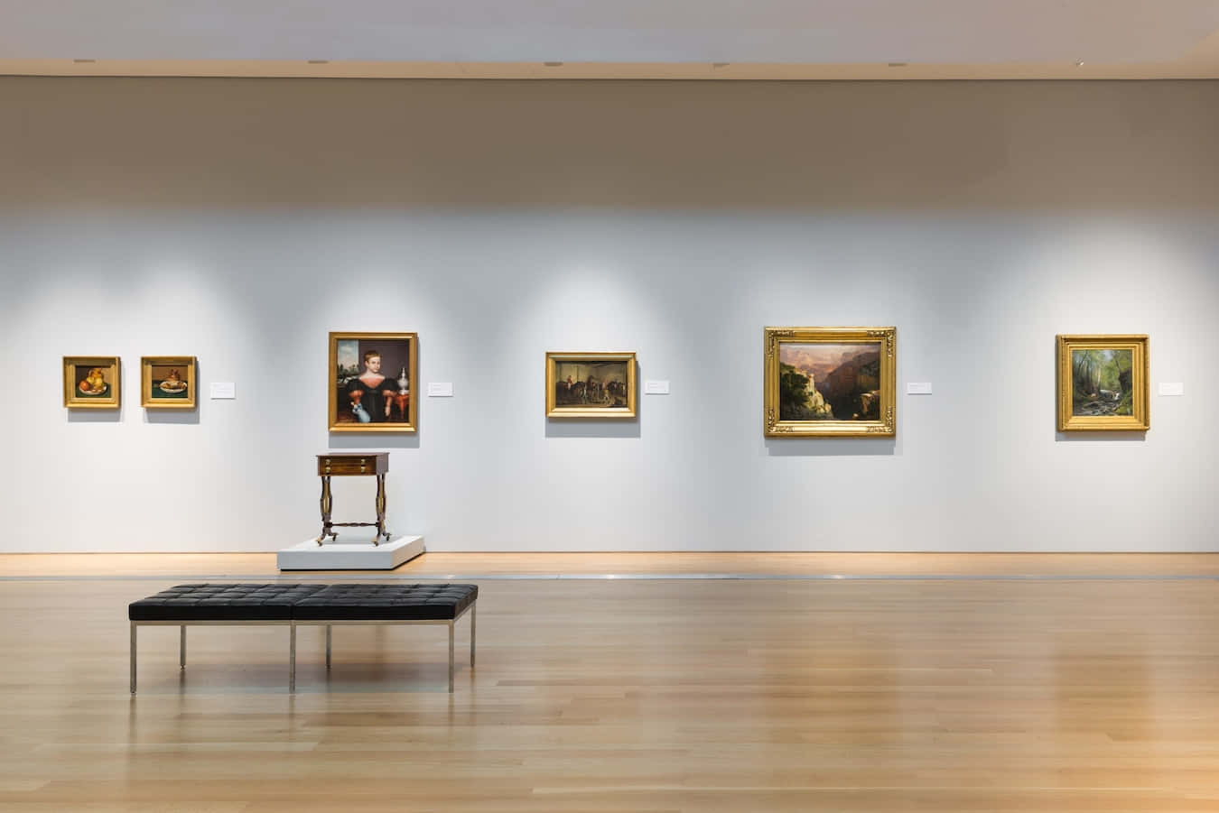 Museum 桌布 壁紙 — 一個寧靜的藝術畫廊，白色牆壁上掛著金色畫框的畫作，拋光木地板上放著一張黑色長凳。